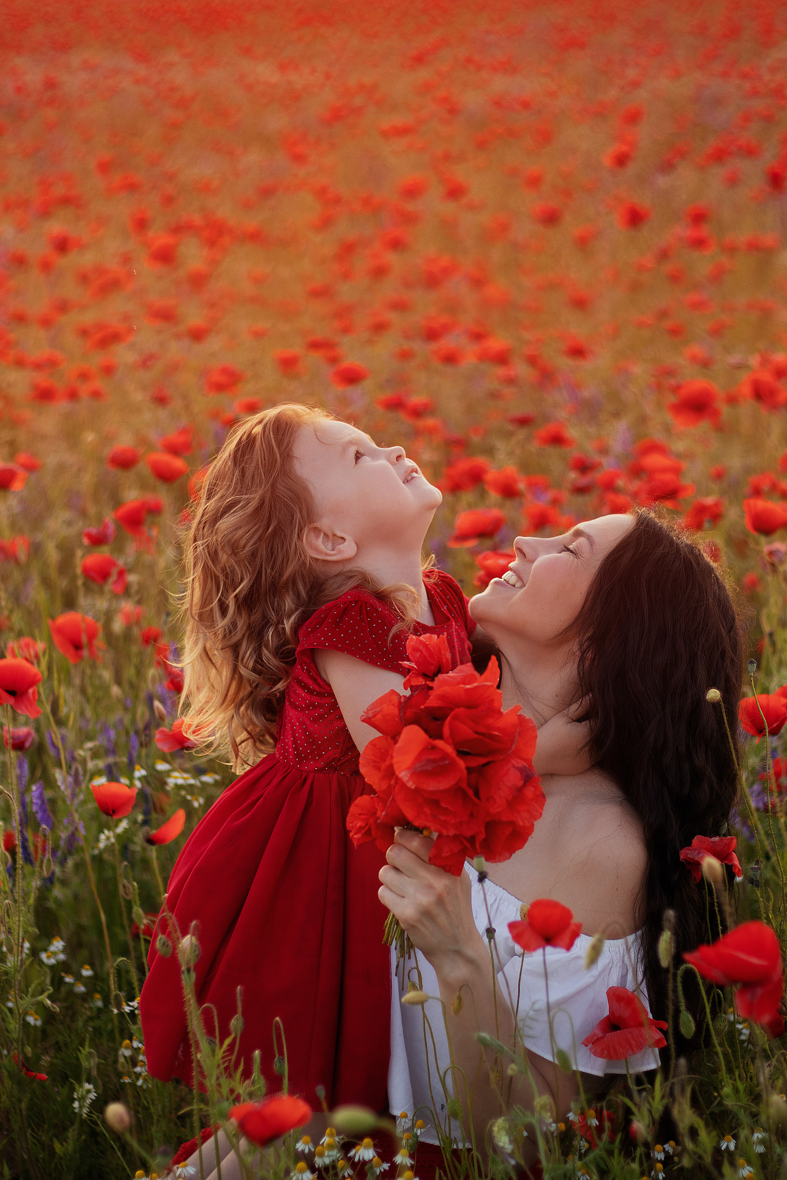 Маки. Контент-фотограф в Калининграде (Москве) Наталья Кеворкова