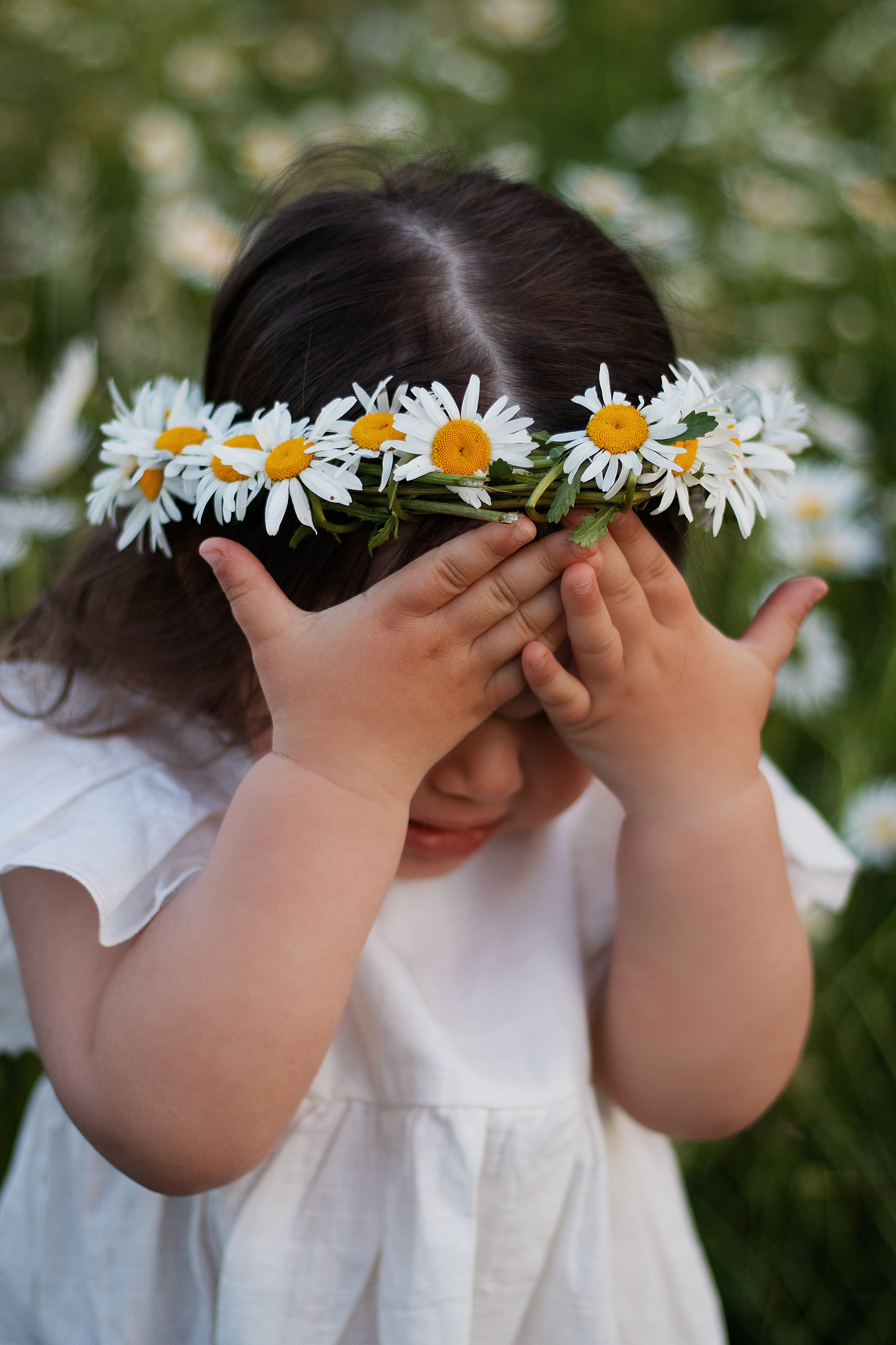 Ромашки. Контент-фотограф в Калининграде (Москве) Наталья Кеворкова
