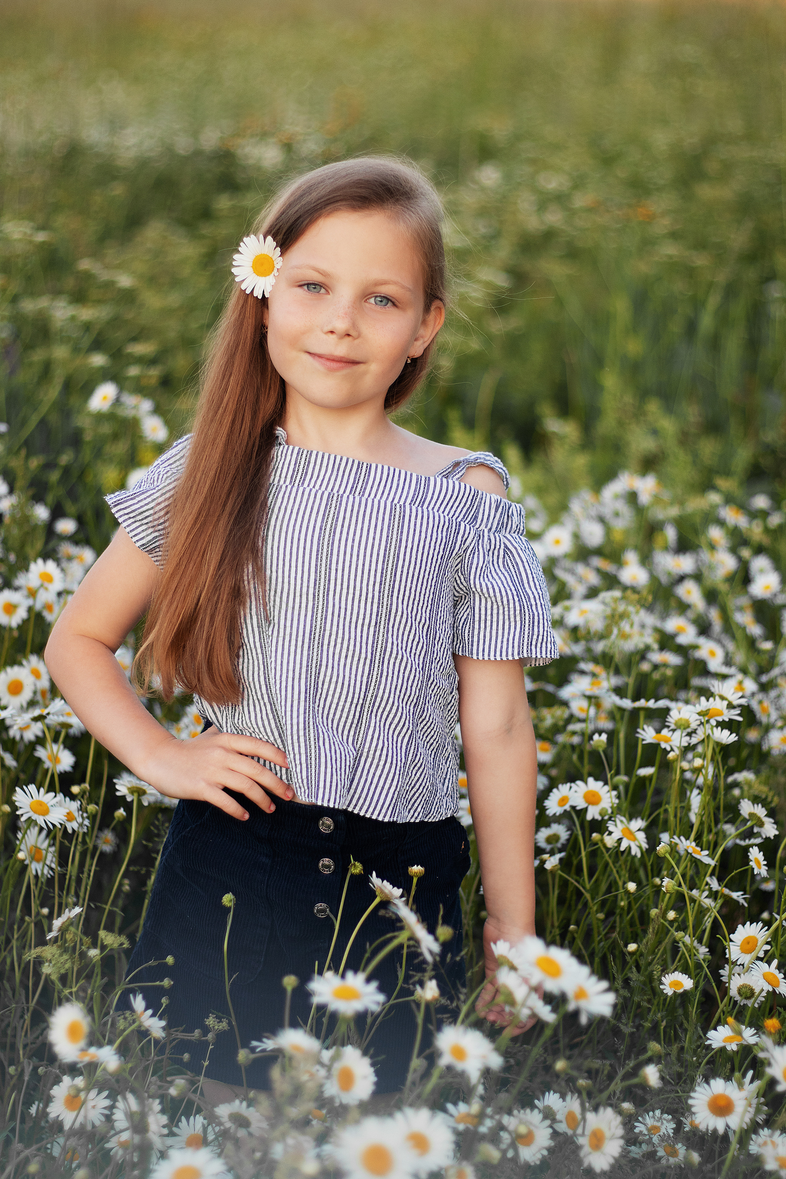 Ромашки. Контент-фотограф в Калининграде (Москве) Наталья Кеворкова