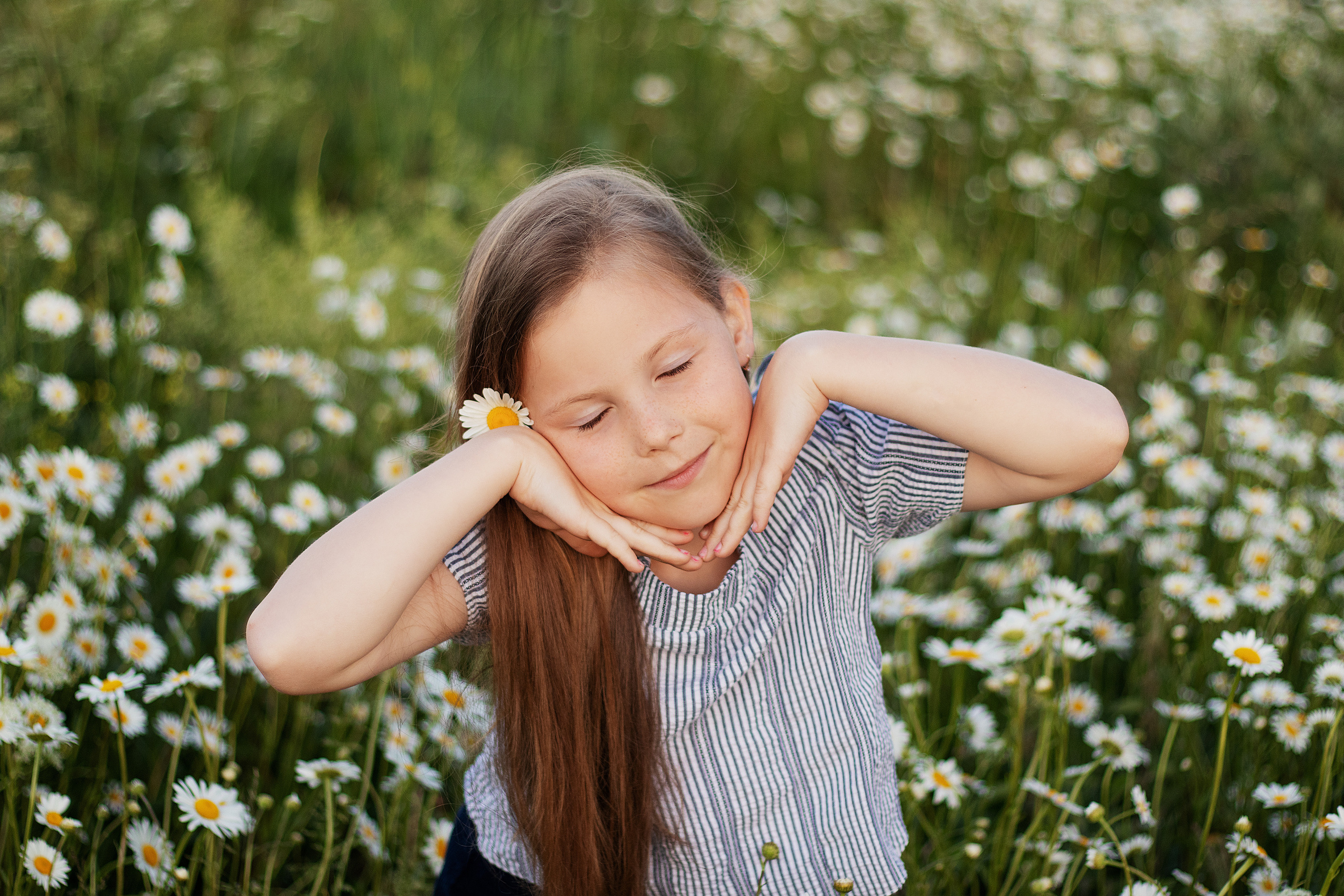 Ромашки. Контент-фотограф в Калининграде (Москве) Наталья Кеворкова