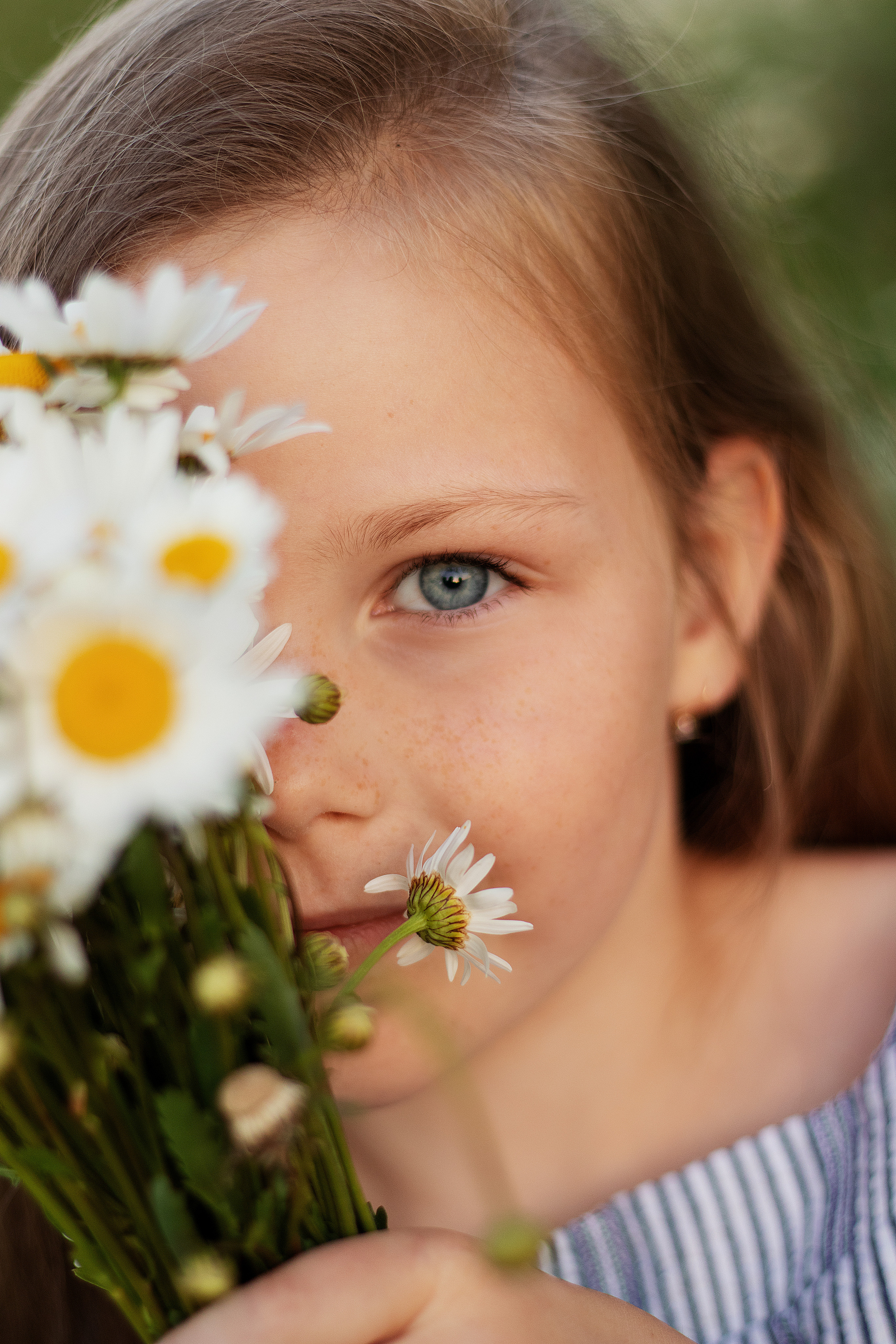 Ромашки. Контент-фотограф в Калининграде (Москве) Наталья Кеворкова