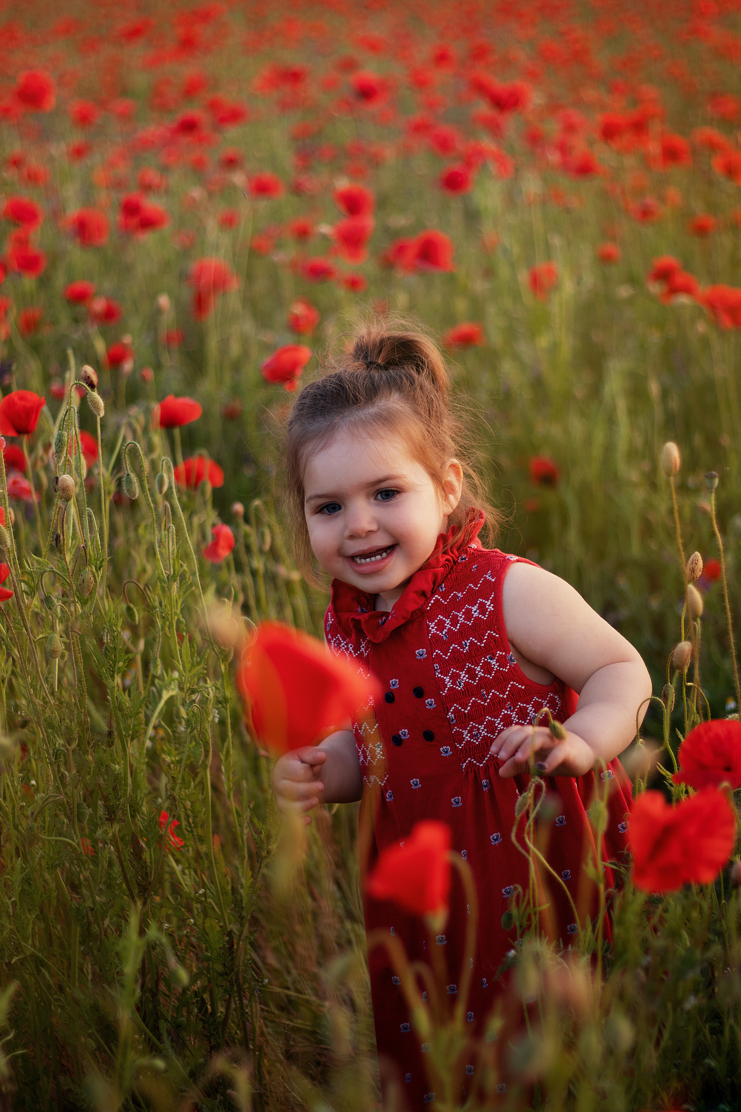 Маки. Контент-фотограф в Калининграде (Москве) Наталья Кеворкова