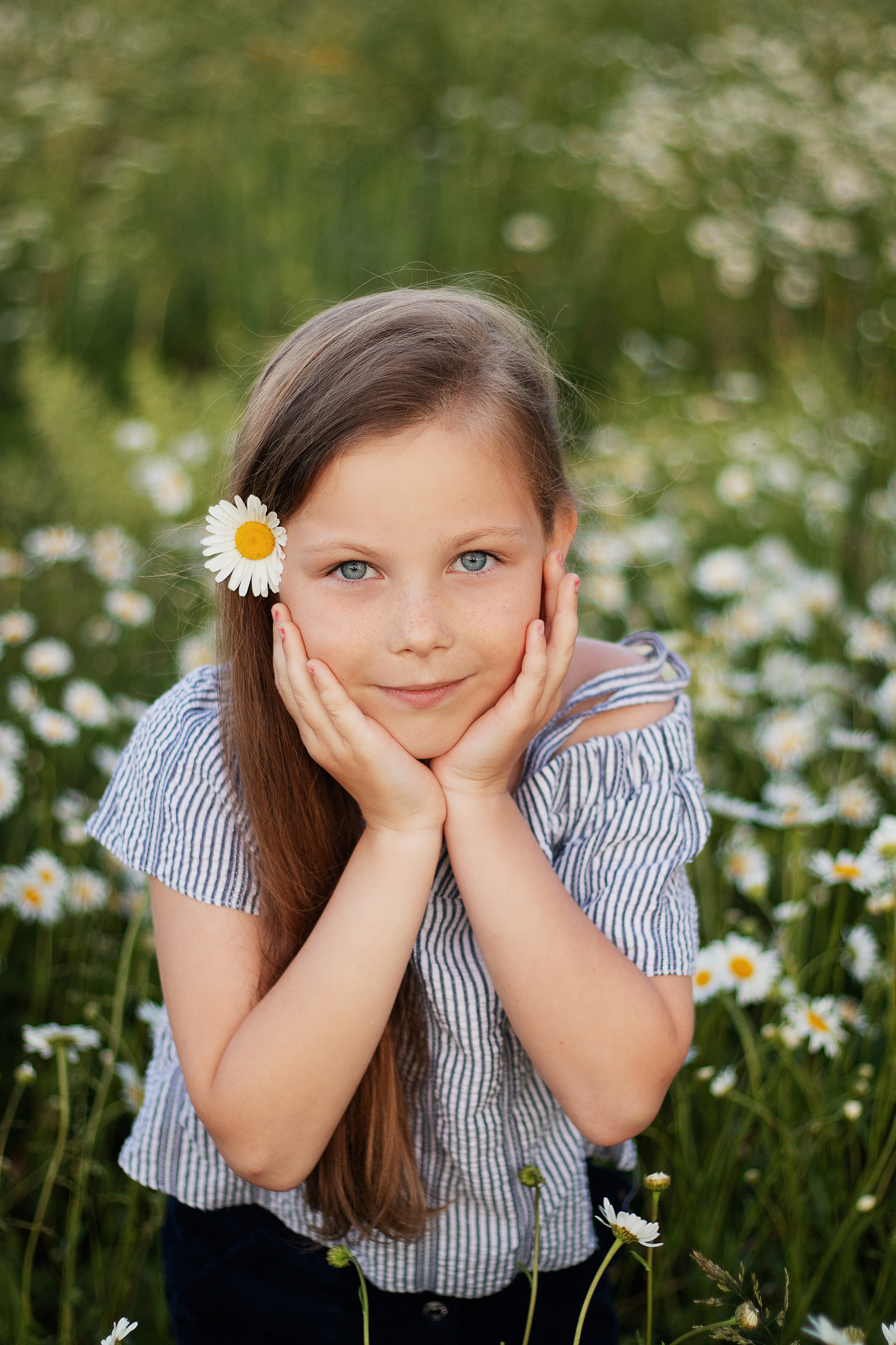 Ромашки. Контент-фотограф в Калининграде (Москве) Наталья Кеворкова