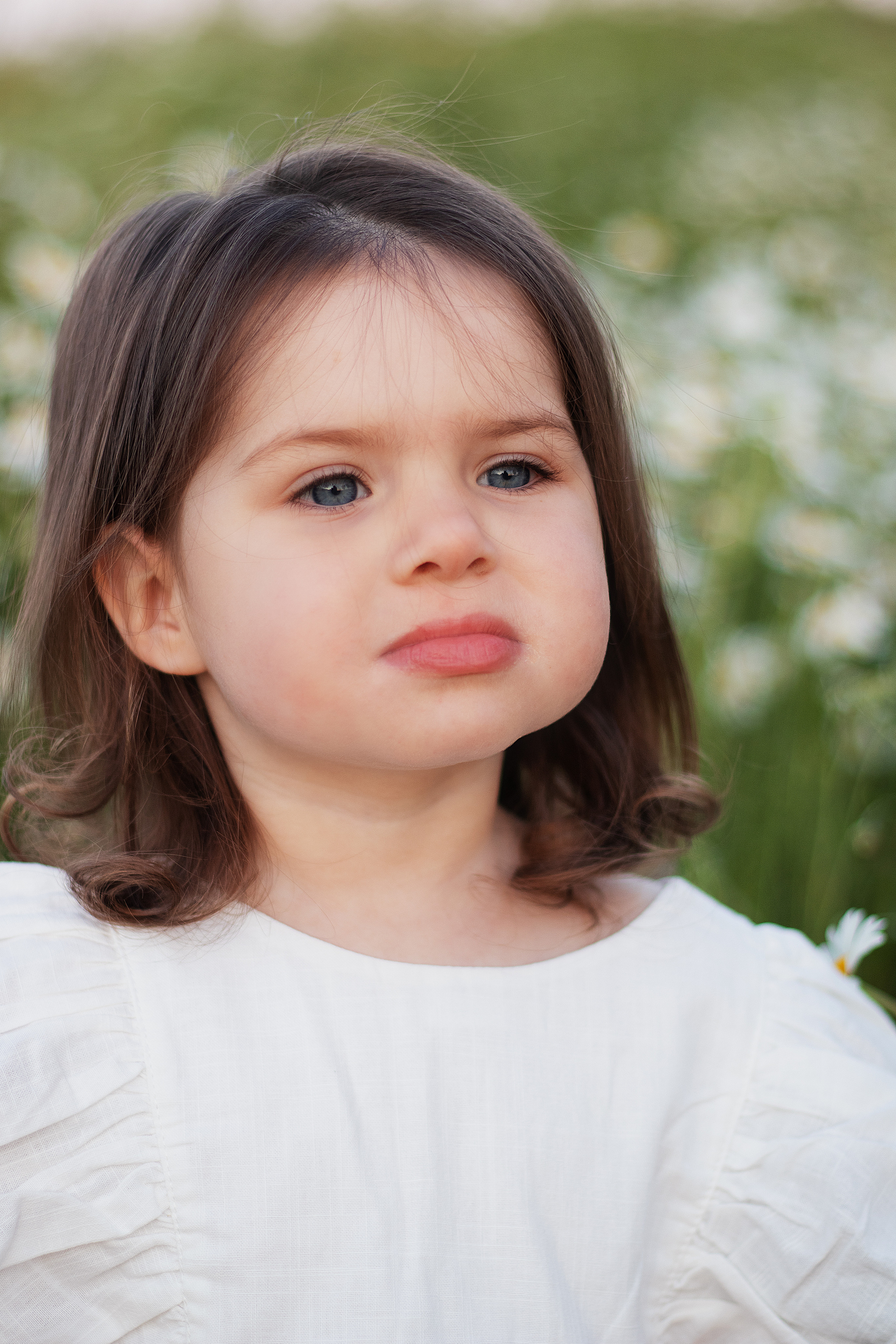 Ромашки. Контент-фотограф в Калининграде (Москве) Наталья Кеворкова
