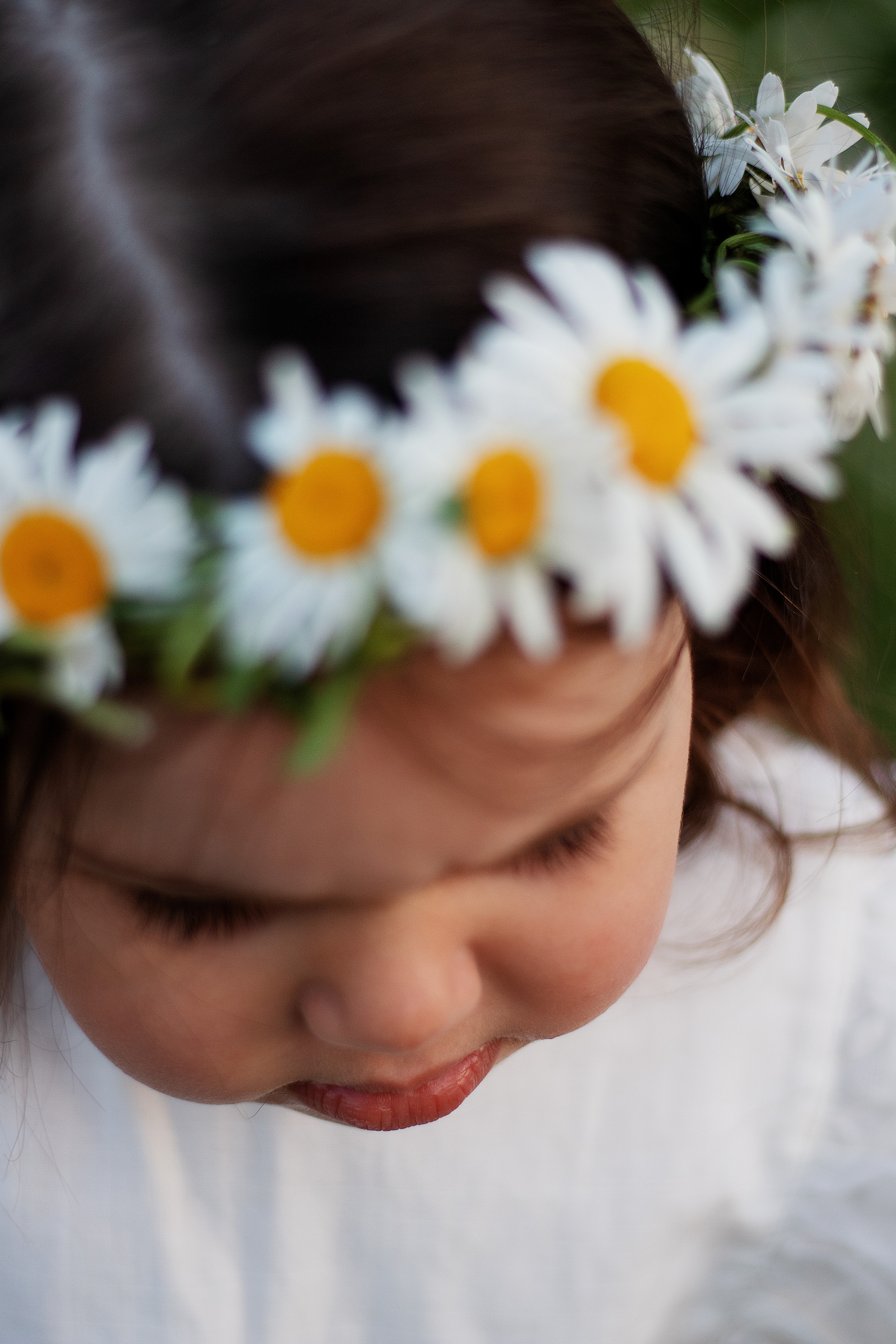 Ромашки. Контент-фотограф в Калининграде (Москве) Наталья Кеворкова