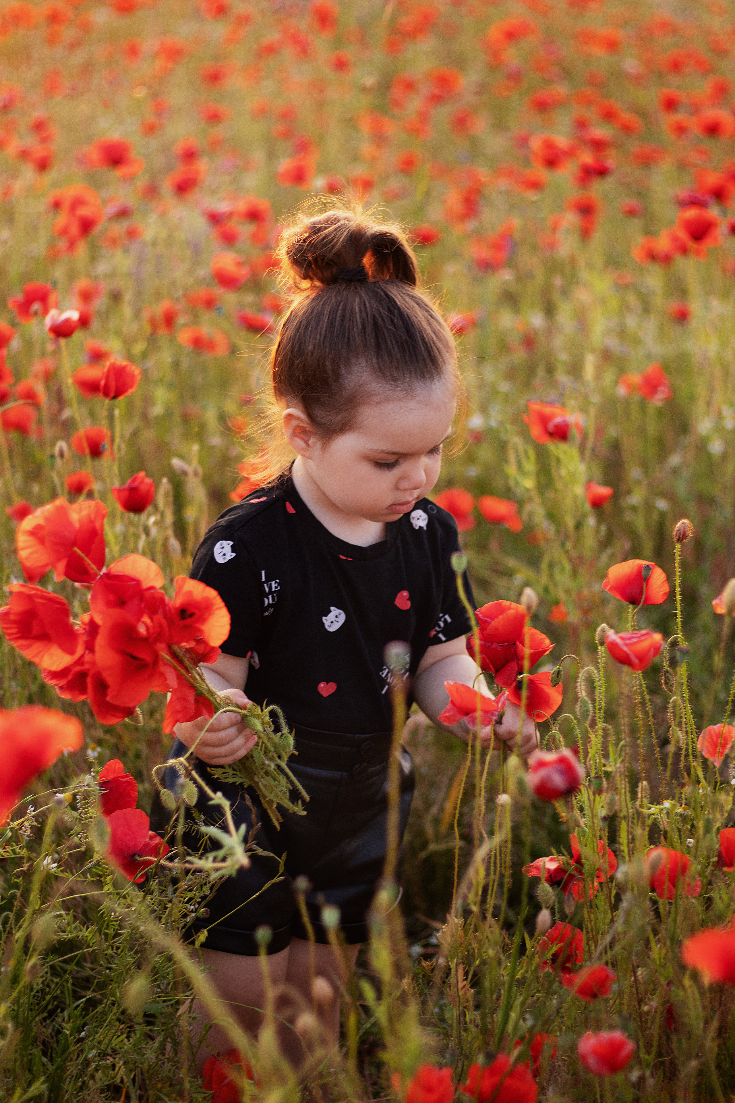 Маки. Контент-фотограф в Калининграде (Москве) Наталья Кеворкова