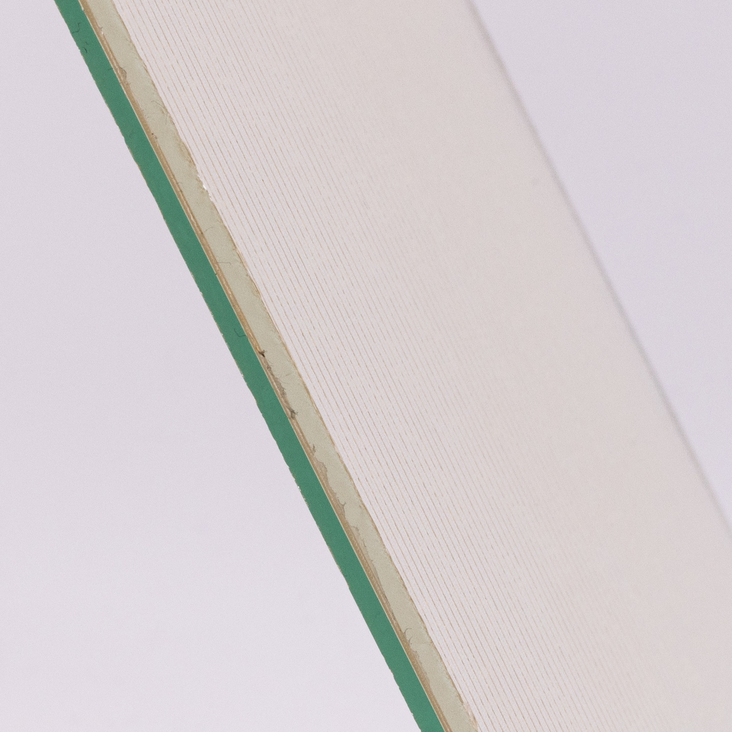 Фото для компаний. Алина Силаева. Фотограф. Контент-менеджер