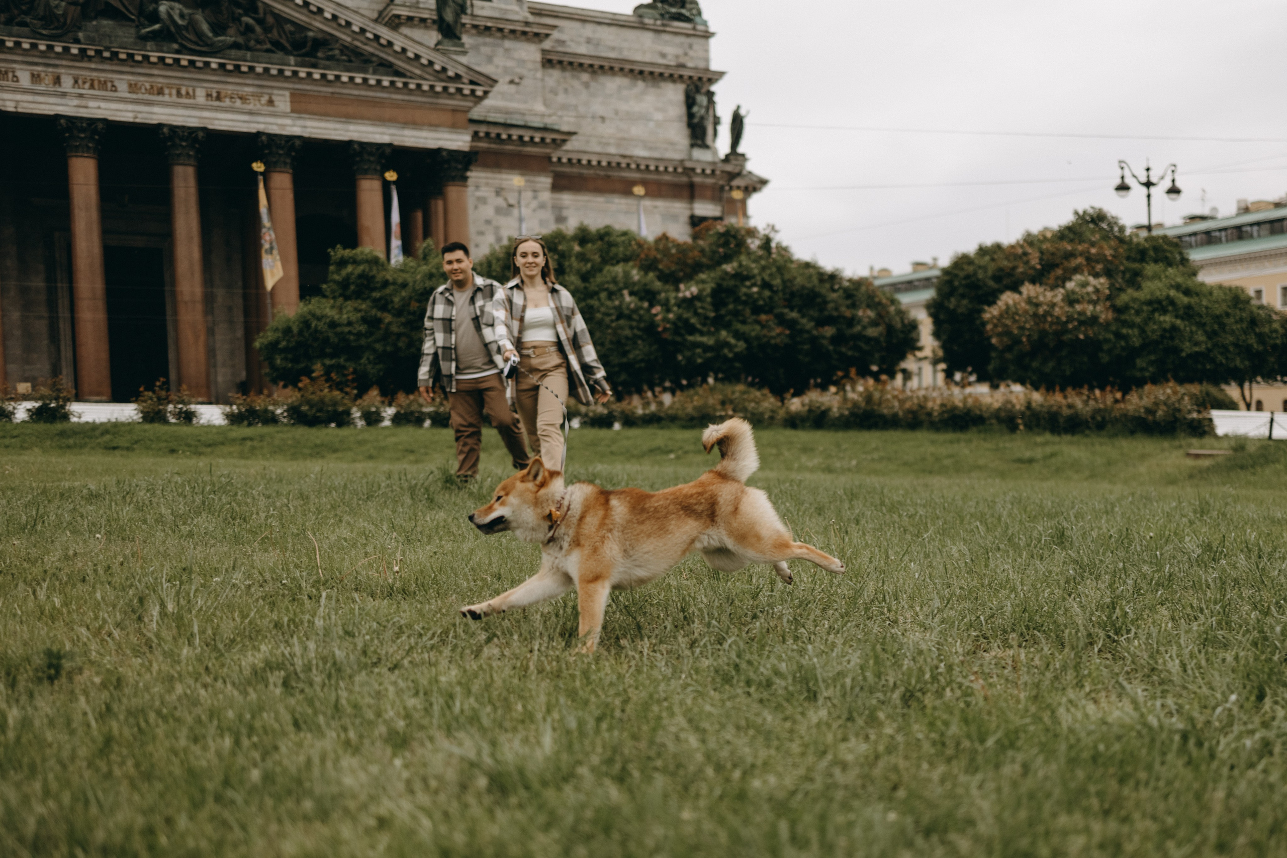 Сириус и его семья. Фотограф — Анималист | Санкт-Петербург