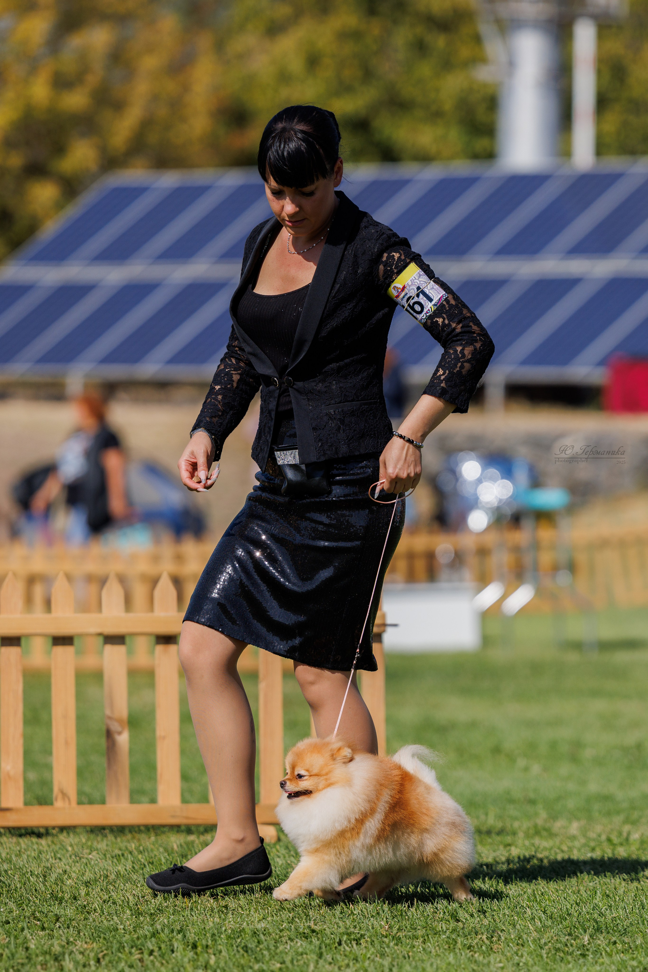 Ереван 14-16.10.2025. Фотограф-анималист Юлия Германика