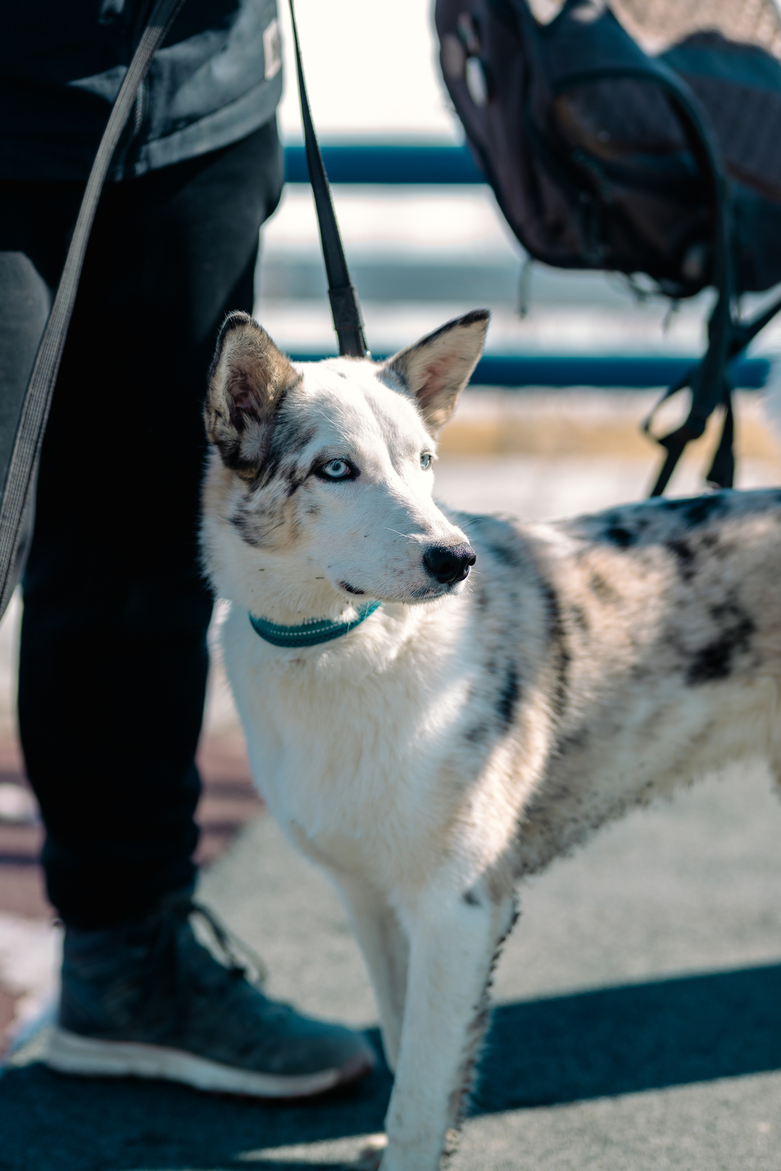 Якутск, Апрель 2024