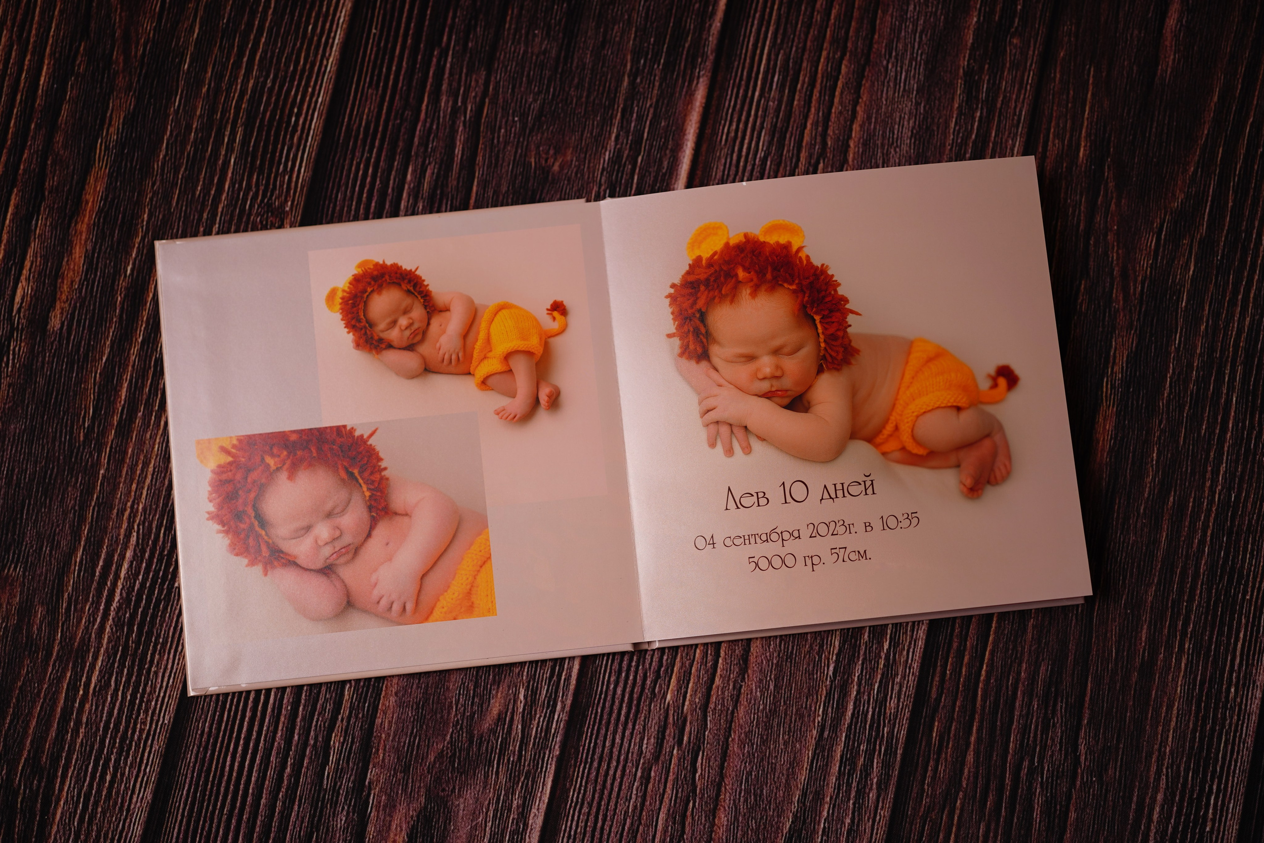 Лев 10 дней. Фотограф новорожденных в Нижнем Новгороде Сергеева Оксана