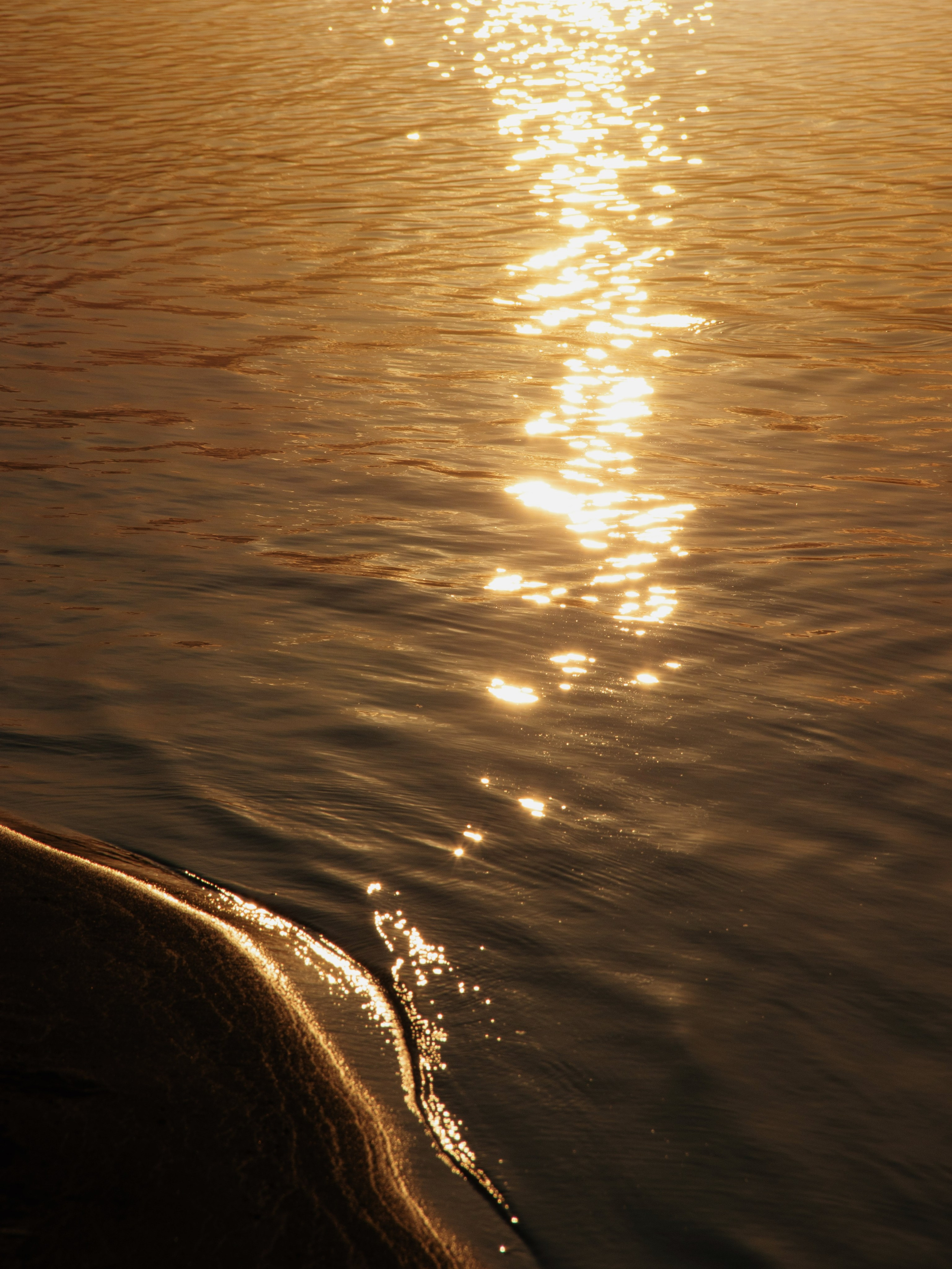 Жидкое золото. С любовью, фотохудожник
