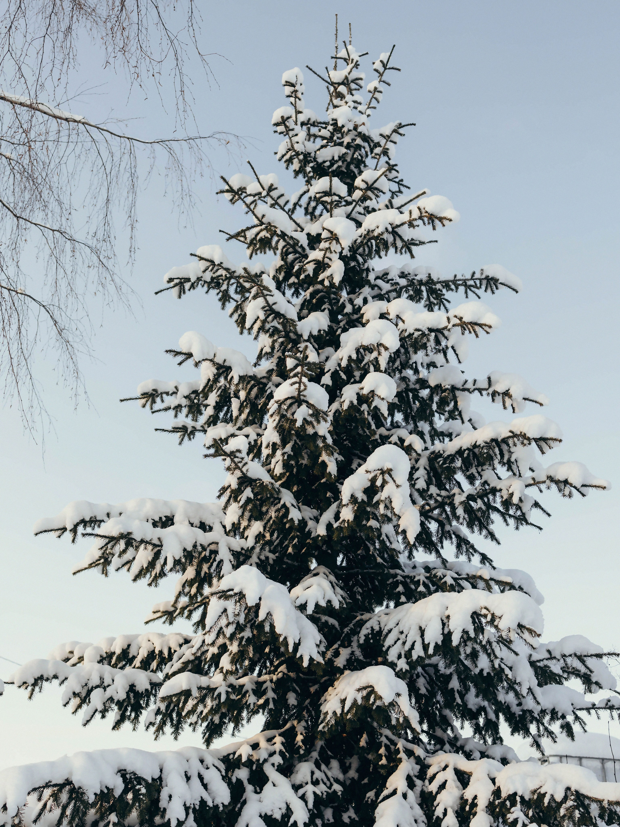 Любовь. Семейный и детский фотограф Наталья Патрушева Котлас