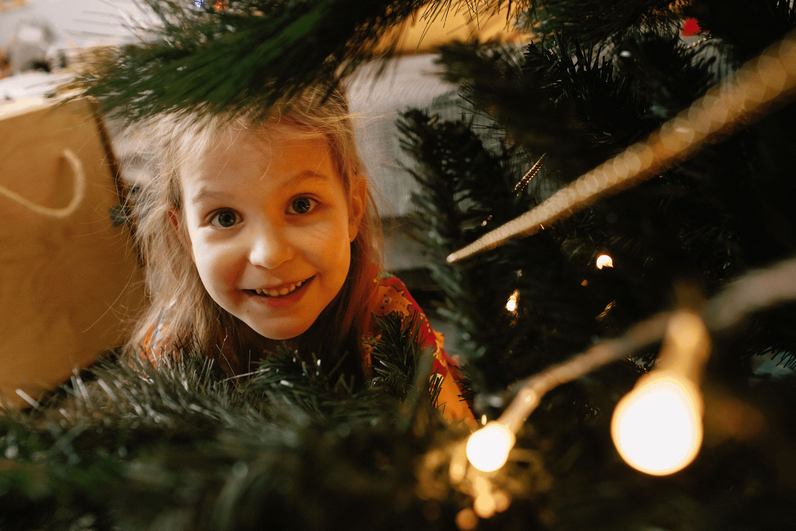 Семейный и свадебный фотограф в Майкопе Михаил Мартиросян