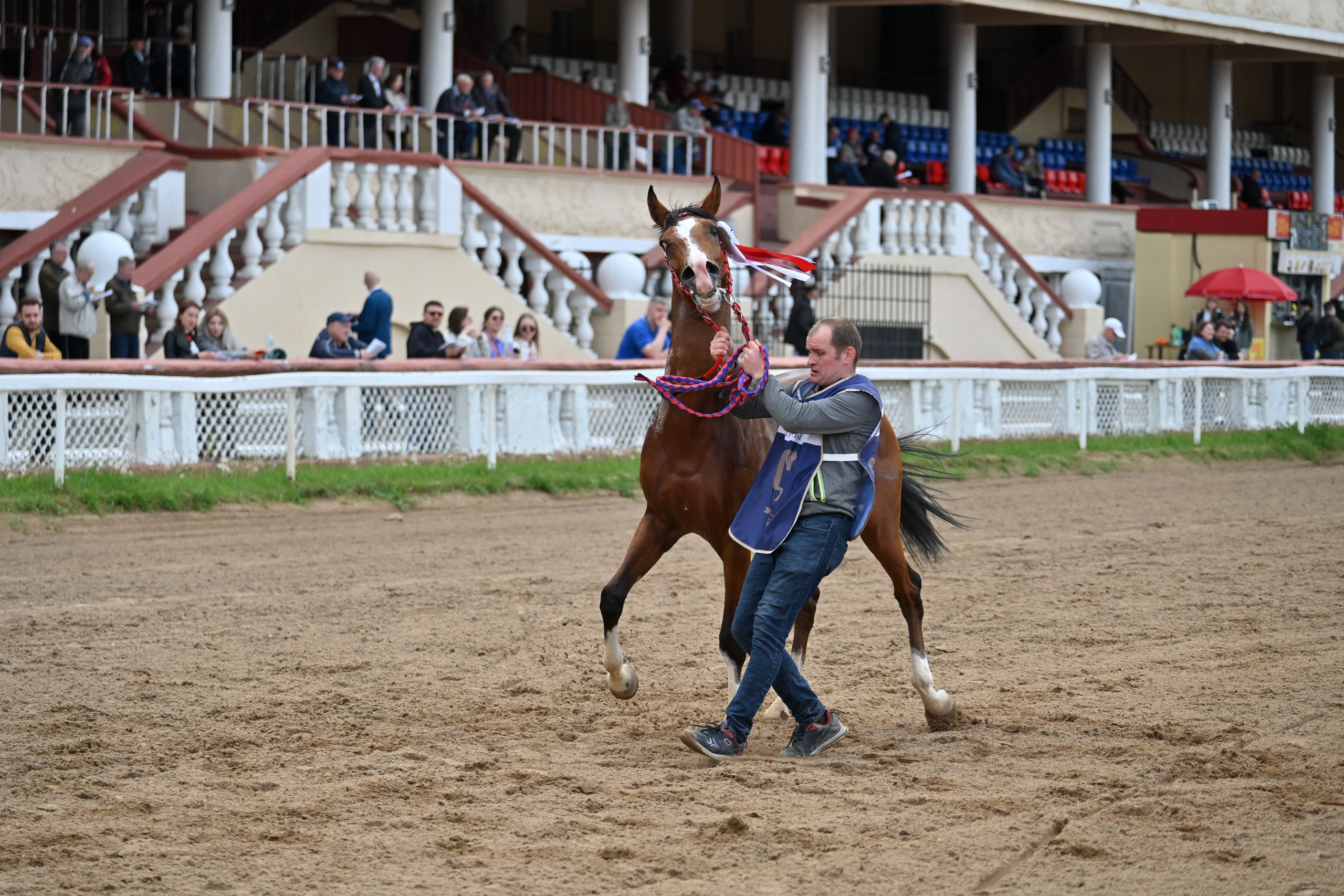 Московский ипподром. Fotolux