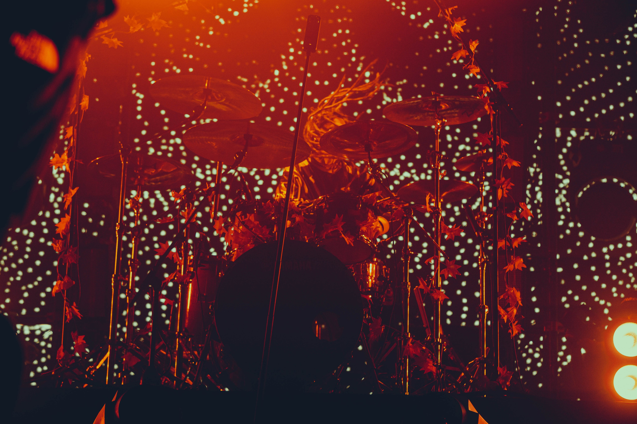 Stigmata 15.11.2025. Фотограф Дядя Сник