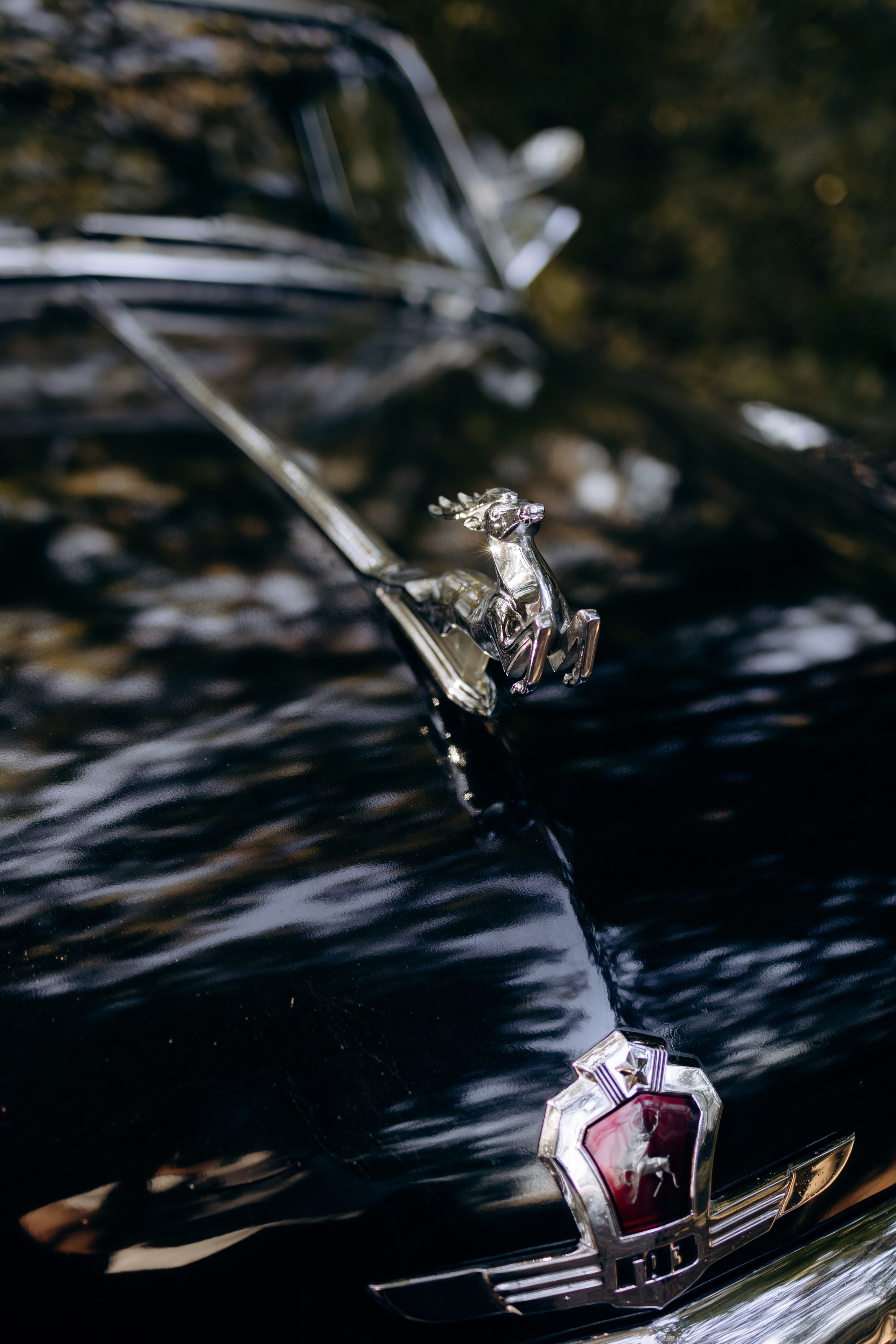 Даша & Максим. Фотограф и преподаватель по фотографии в Воронеже Олеся Микерова