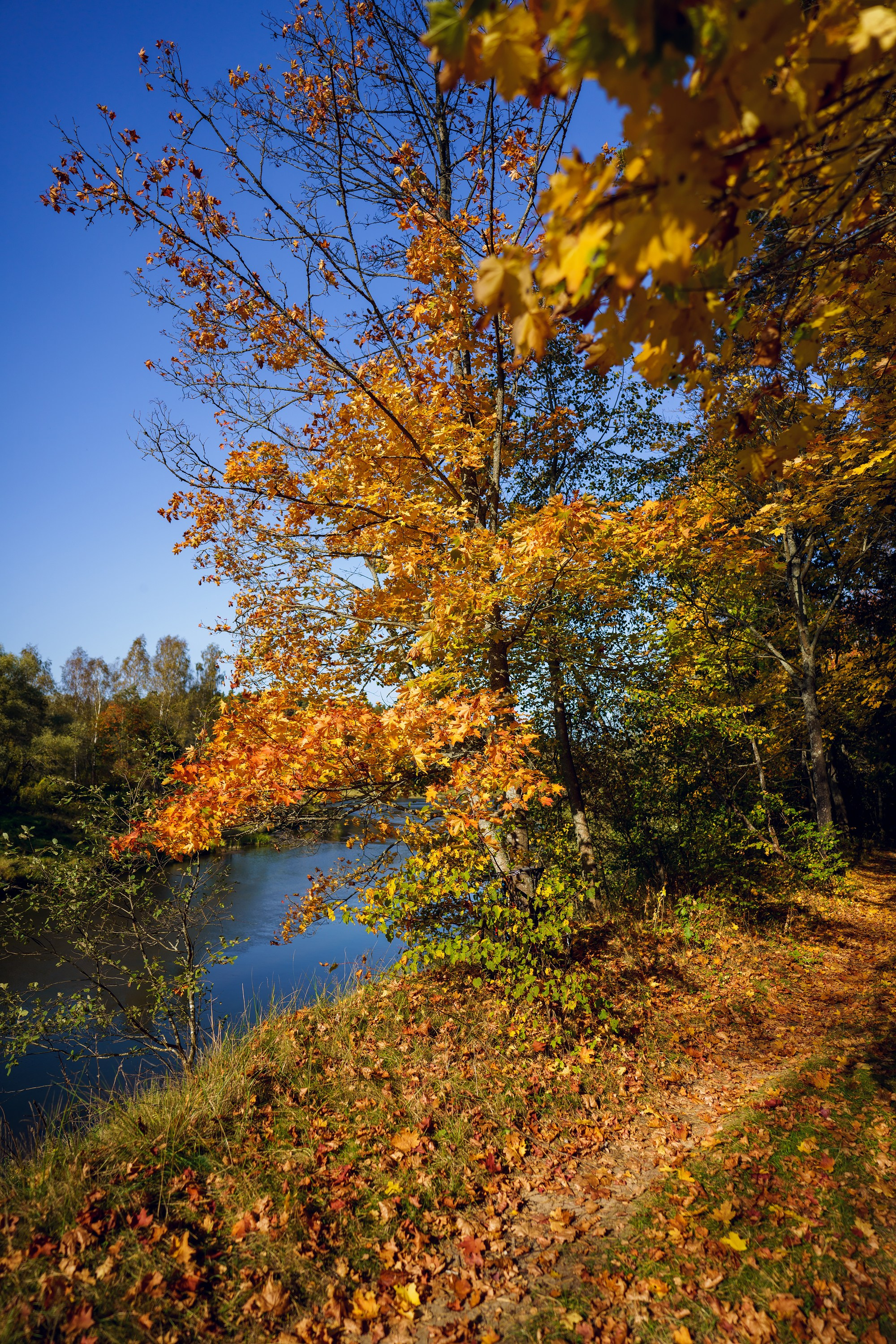 Фотографии Большая Калужская Тропа. Фотограф спортивные события, недвижимость, турбизнес