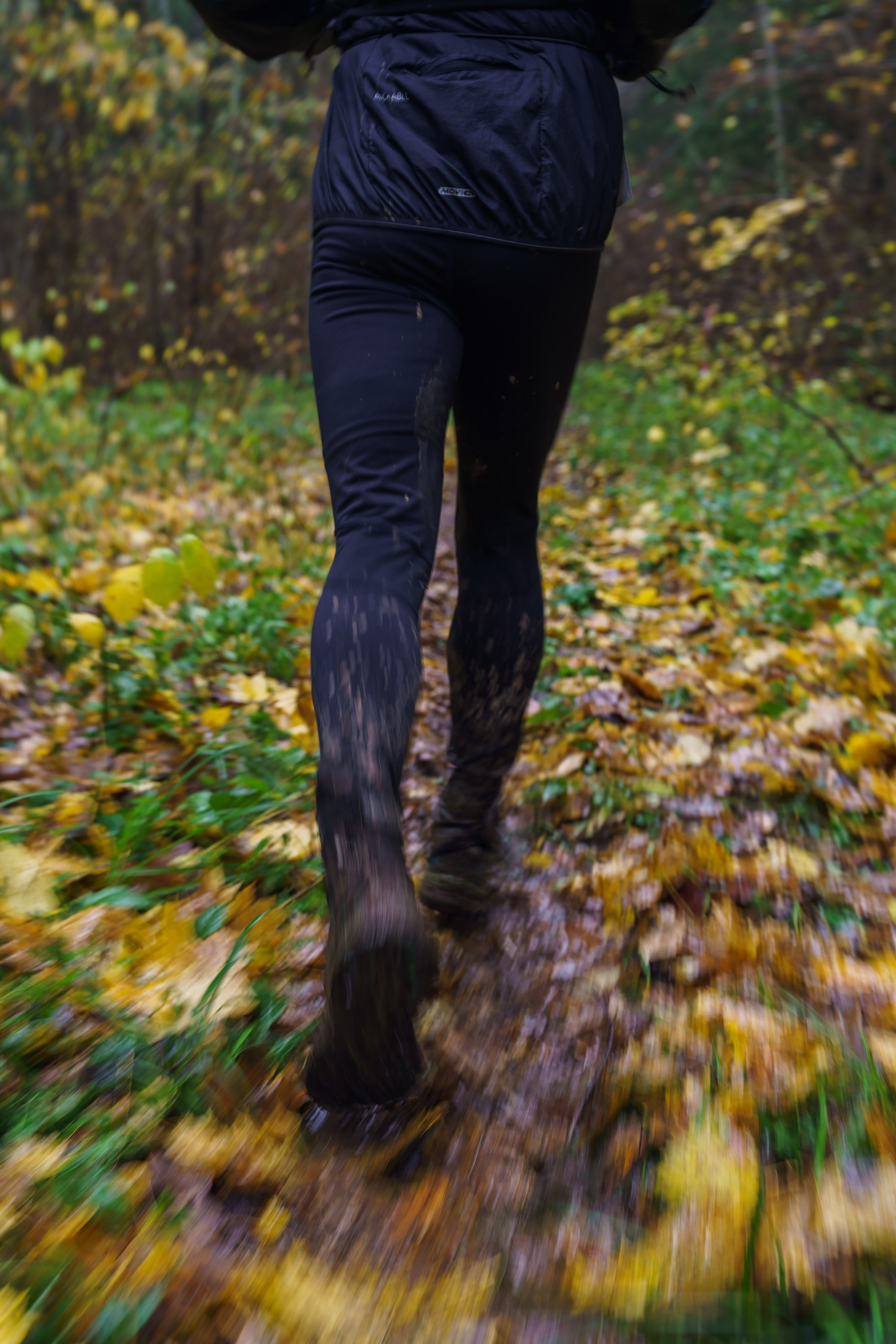 Фотографии Трейл Кутузов 2025. Фотограф спортивные события, недвижимость, турбизнес