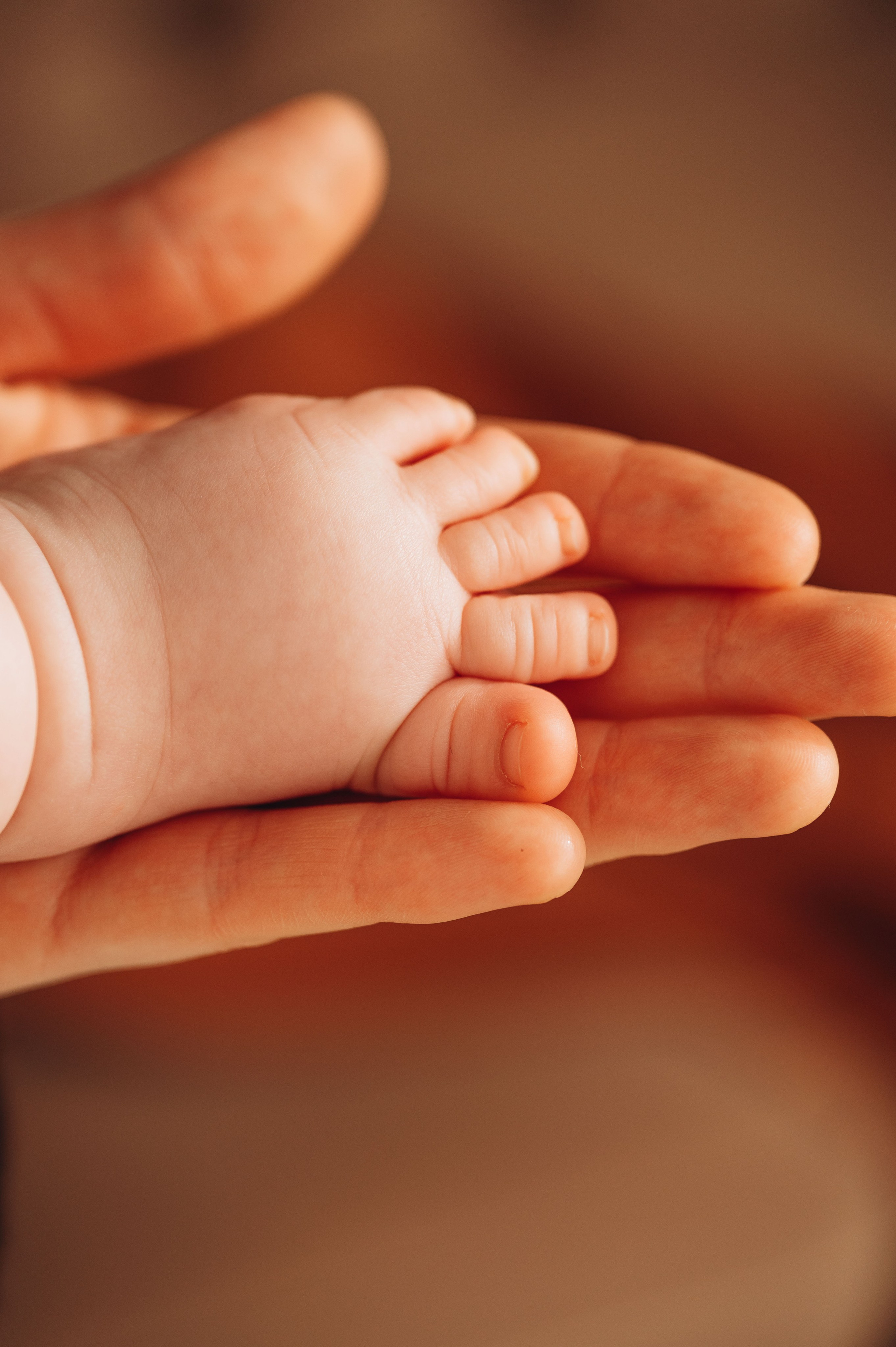 Ангелина, Ева и Аня. Фотограф беременности и семьи, домашние съемки, Ньюборн