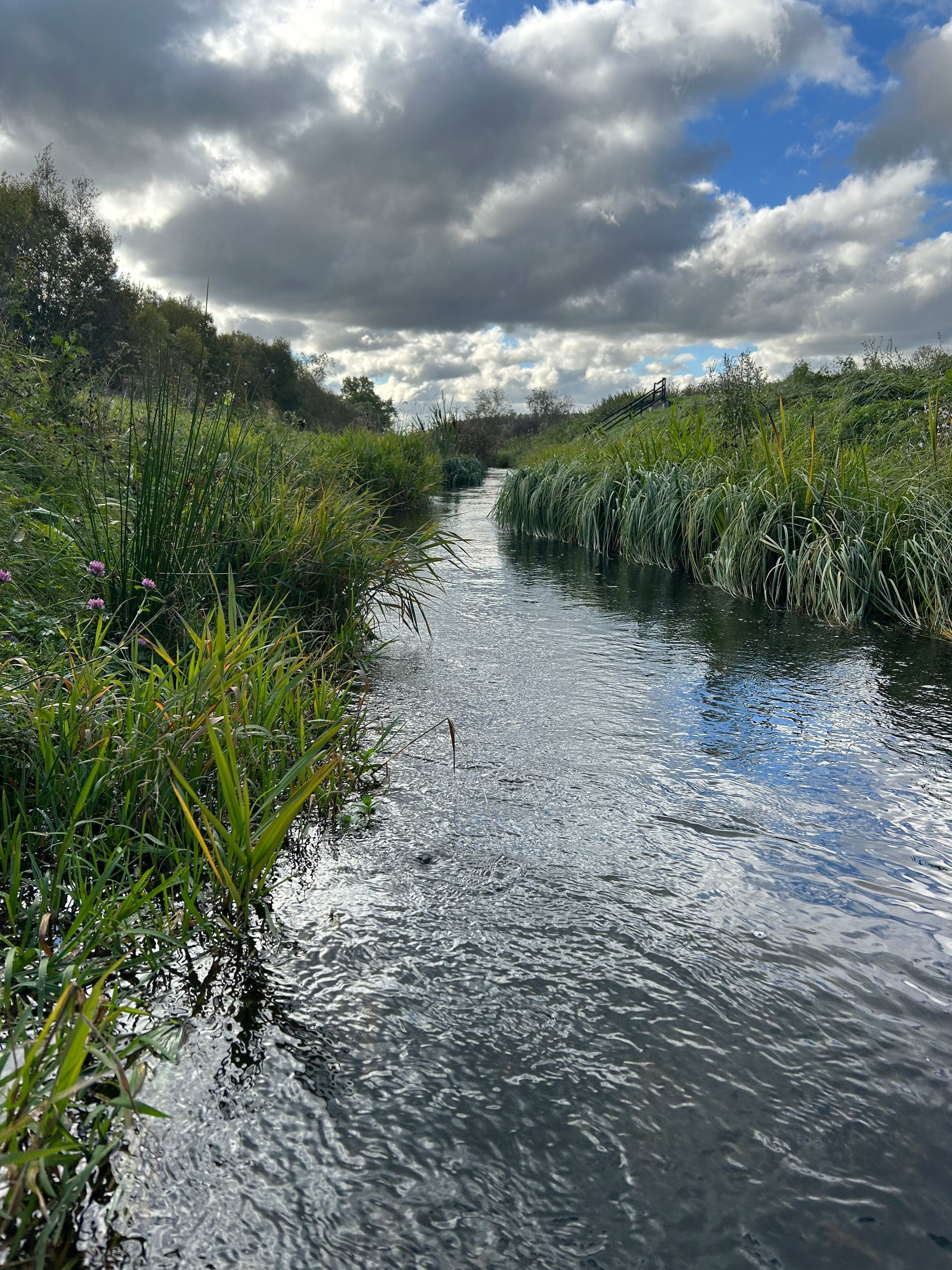 Лето, ах лето. Фотокружок «Видоискатель» ГБОУ СОШ № 291