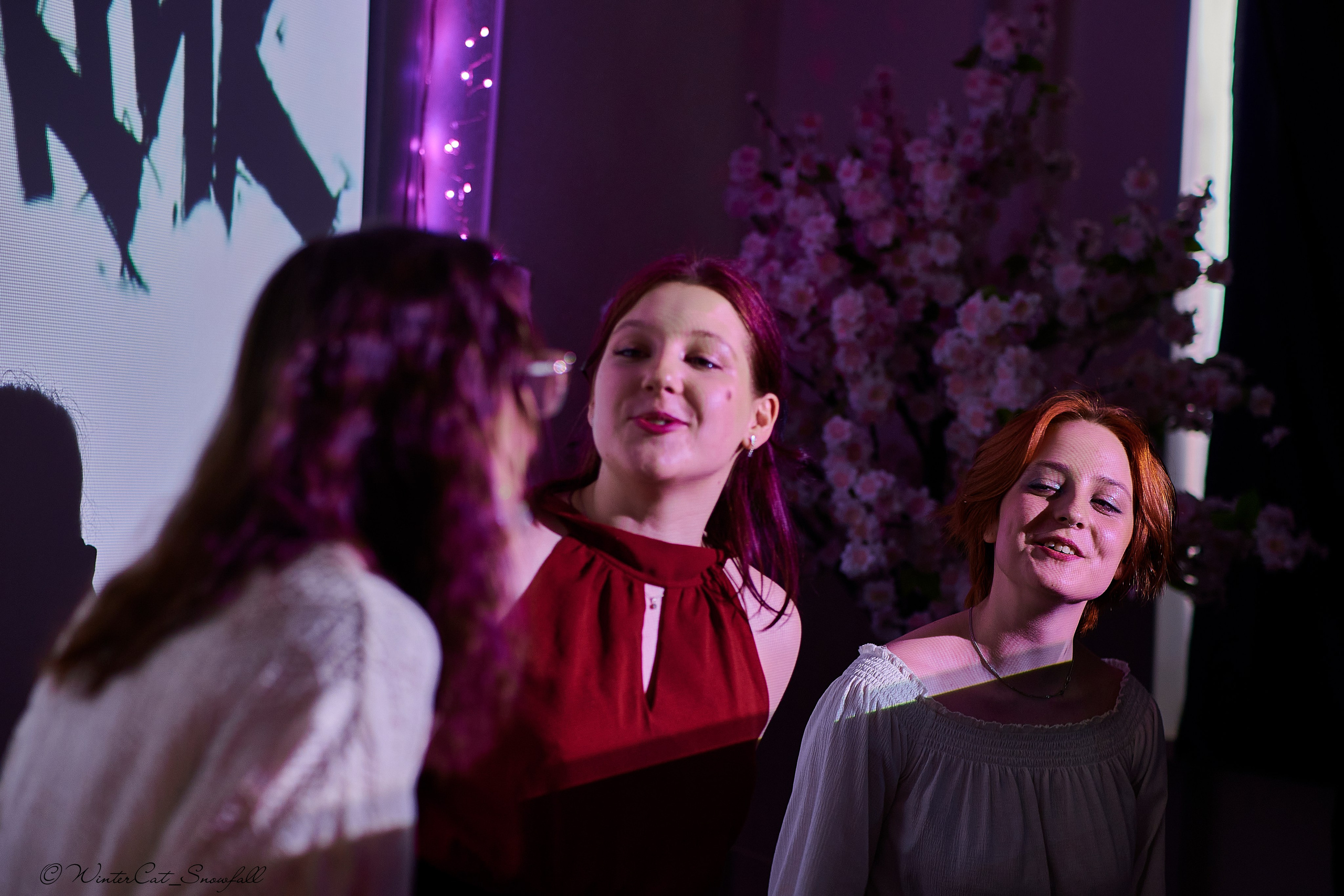 Крик (Чайка 11.05.24). Портретный и репортажный фотограф в Магадане Андрей Нефедов WinterCatPhoto