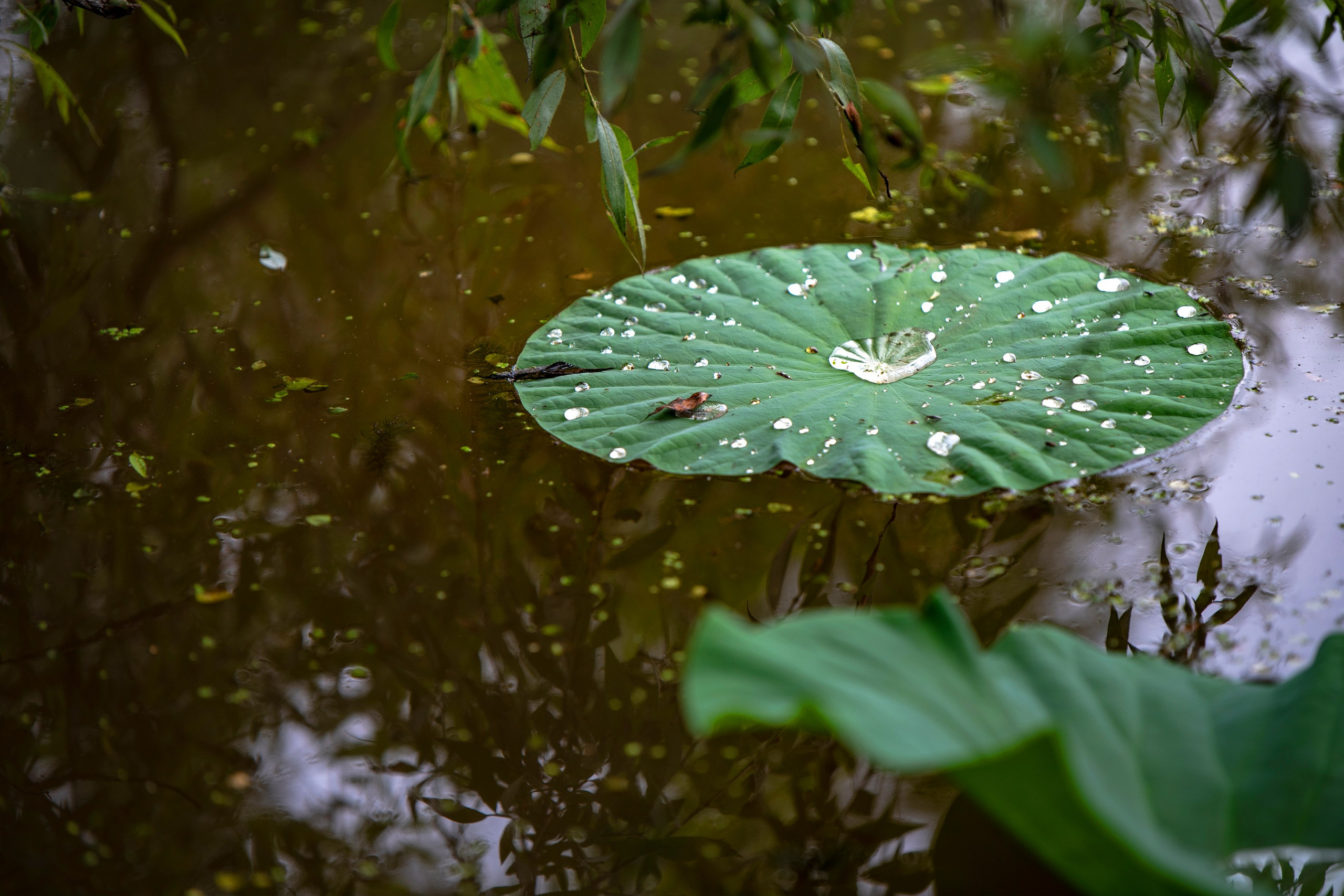 Природа Хабаровского края. Команда фотографов Кристины Ивановой