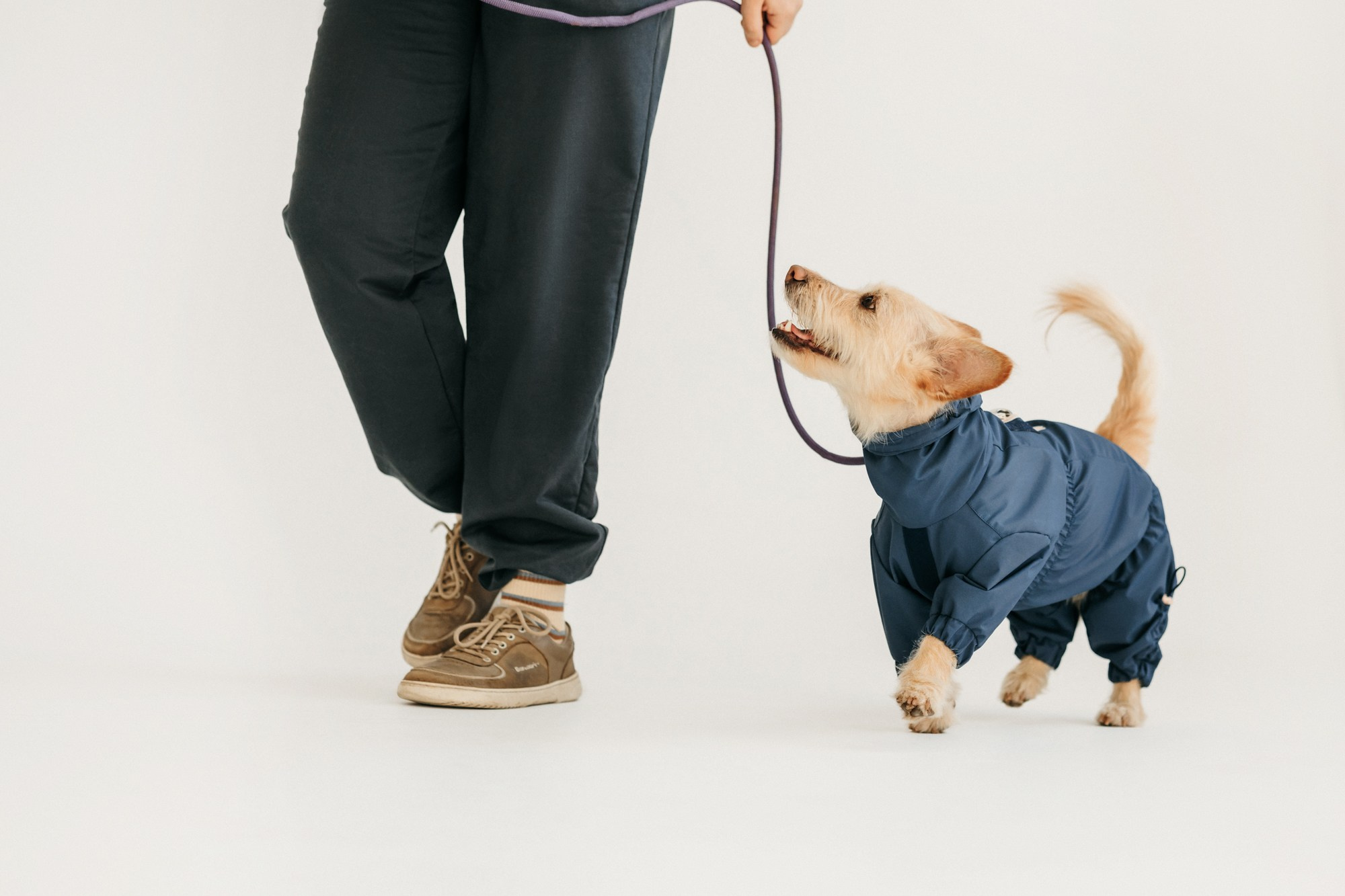 Одежда Lapa`s brand. Фотограф-анималист Елена Радченко, Москва