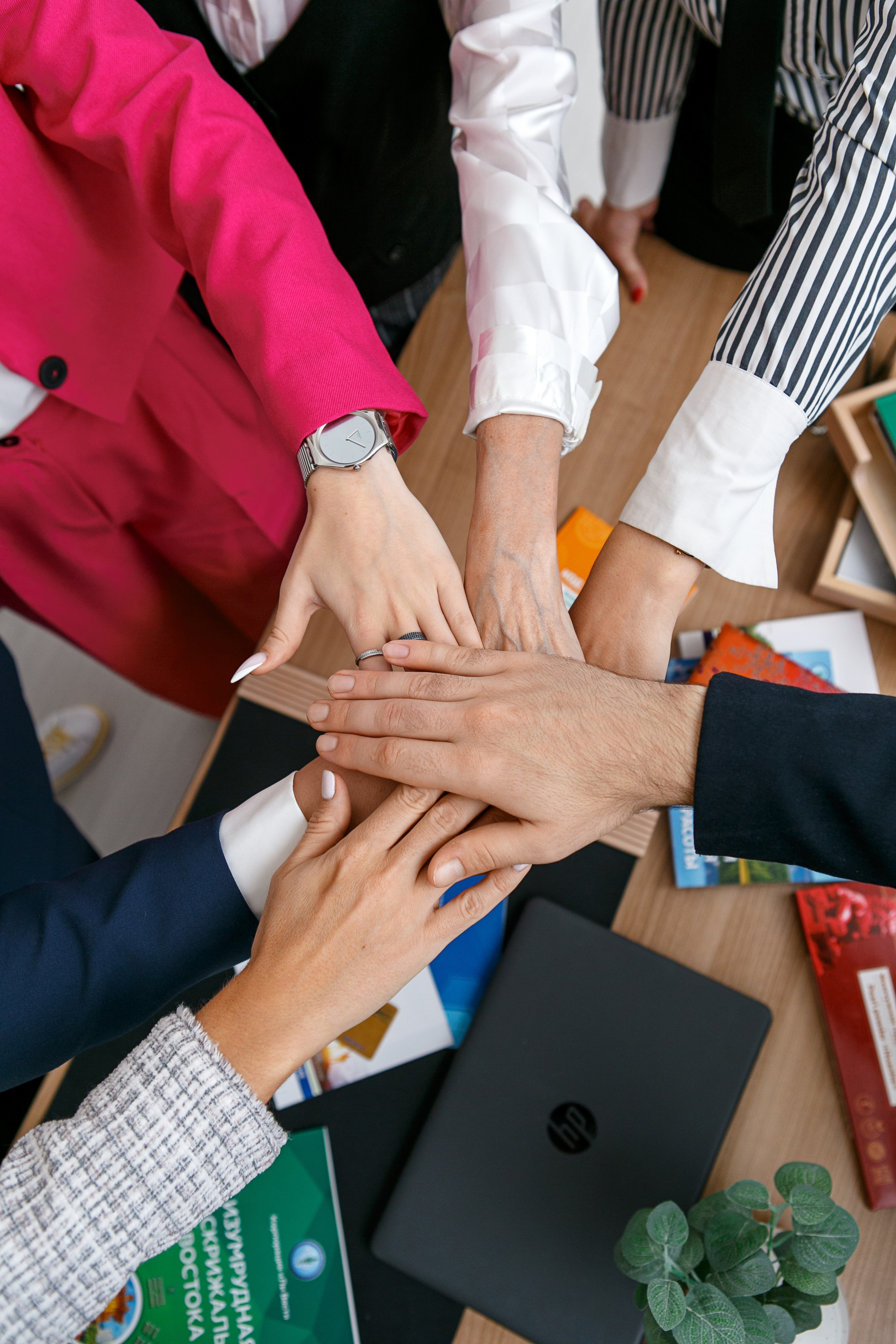 Корпорация LiVest. Контент фотограф, съемка для маркетплейсов, фуд съемка и репортажи в Новосибирске Ралия Галеева