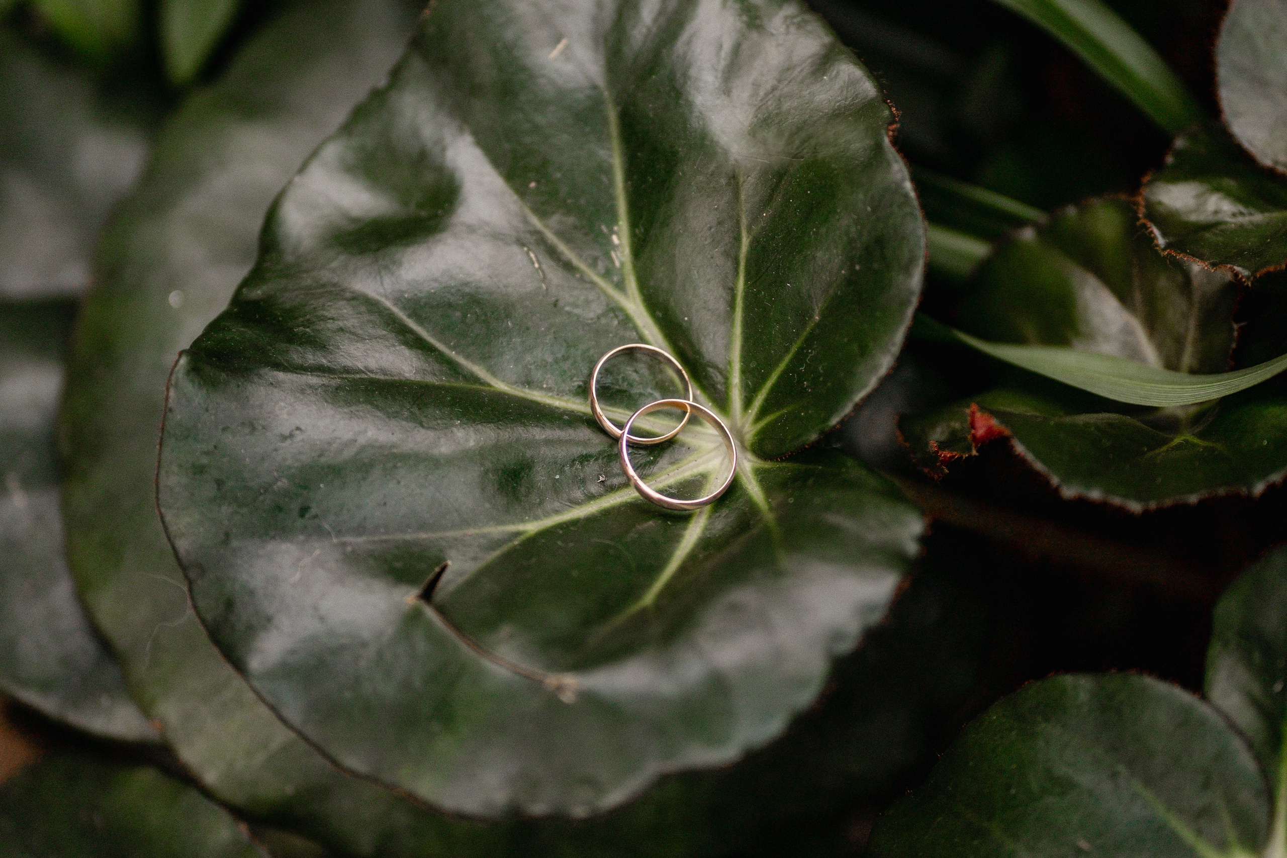 Evgeniy & Victoria. Dolce_wedding