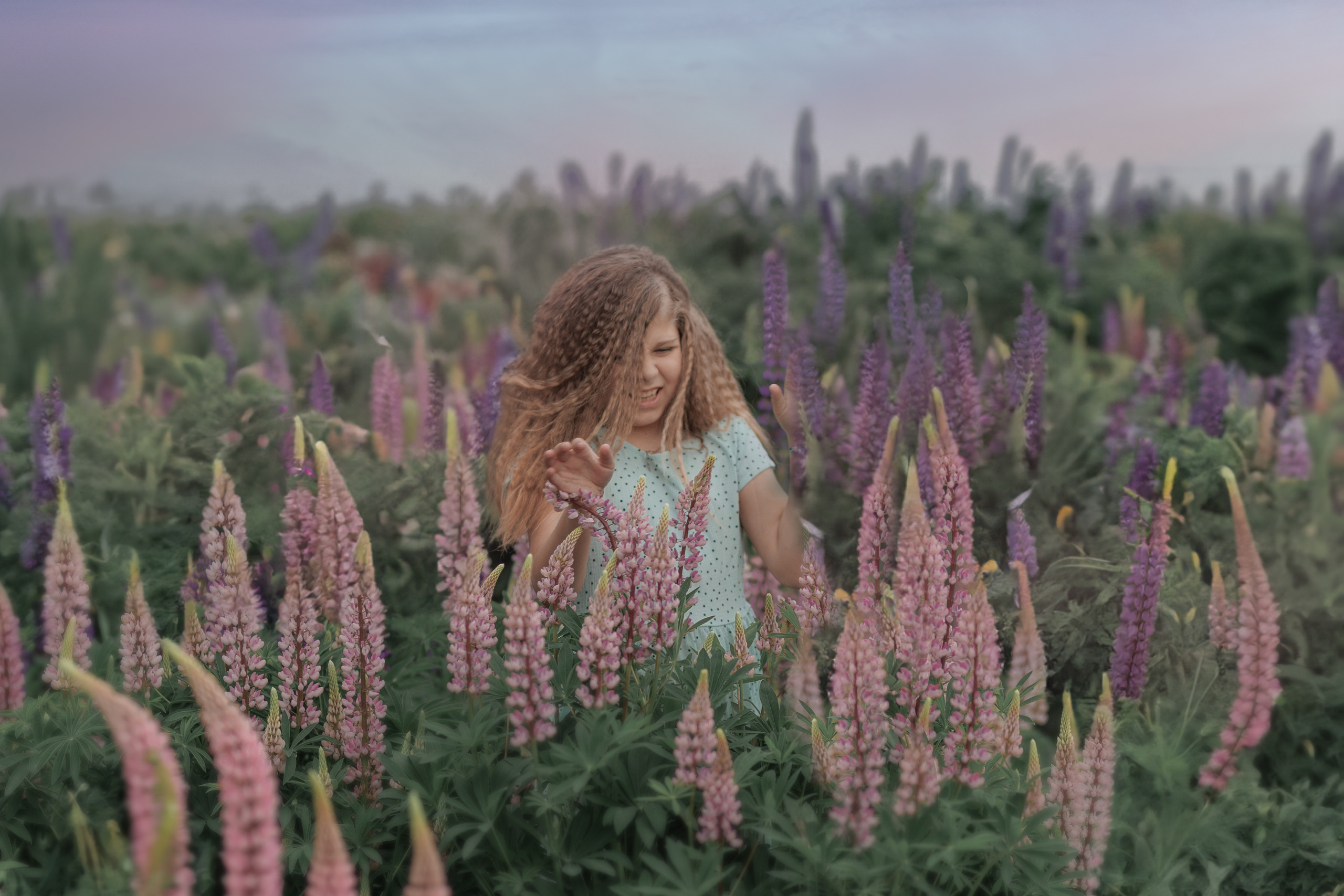 Люпины и дети. Фотограф женского портрета, беременности и материнства Харькова Елена