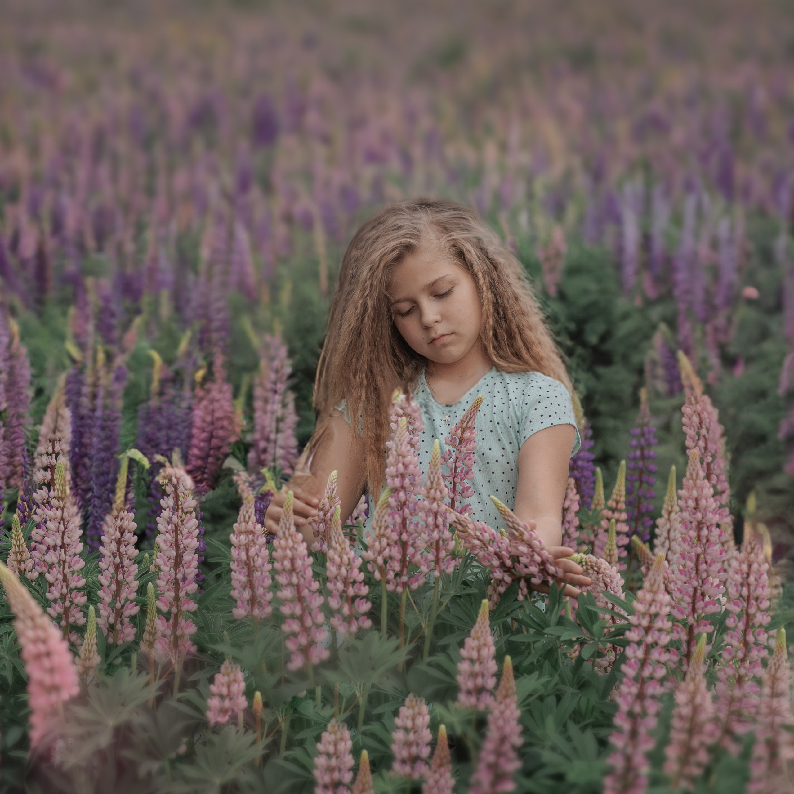 Люпины и дети. Фотограф женского портрета, беременности и материнства Харькова Елена