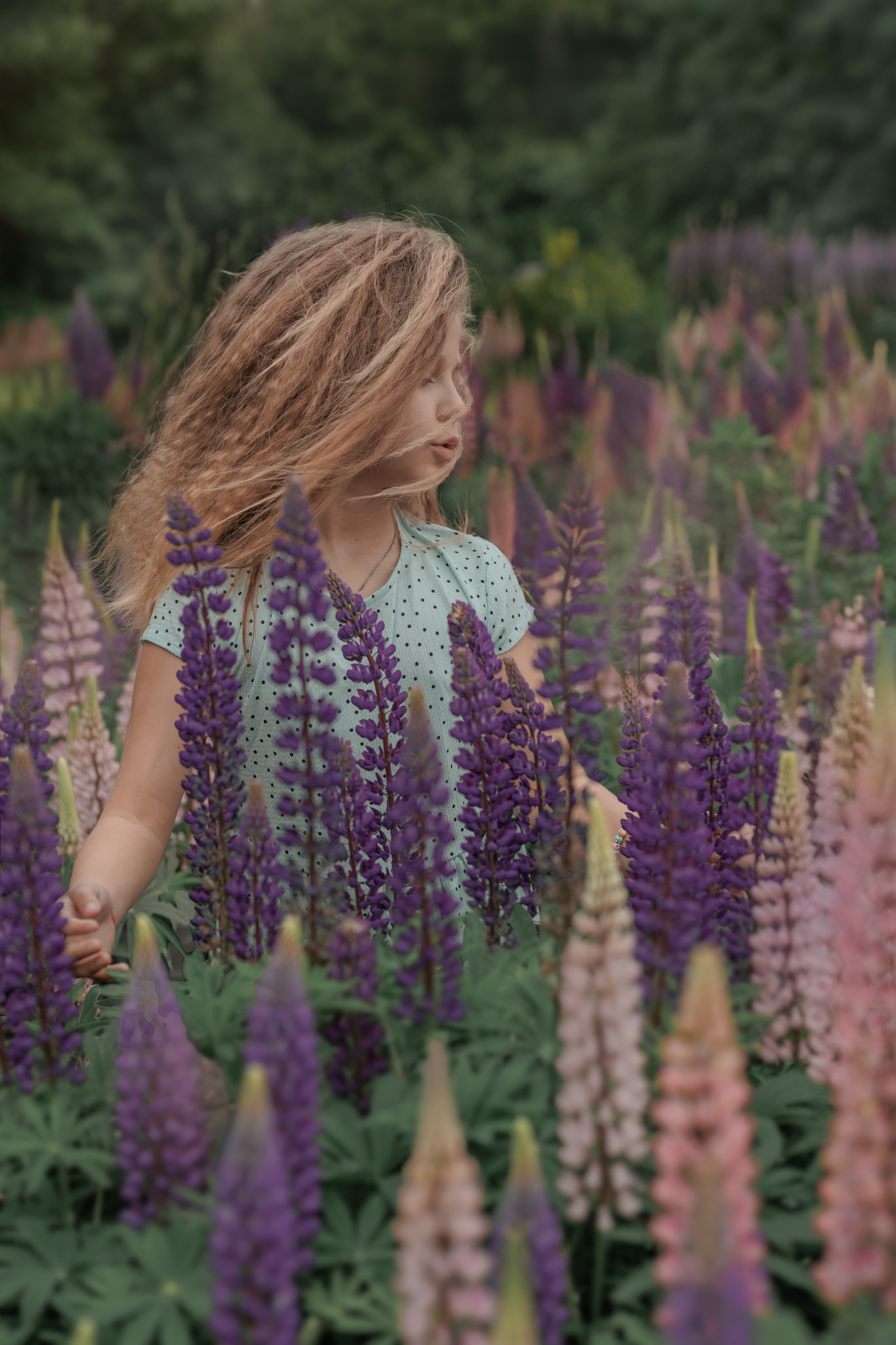 Люпины и дети. Фотограф женского портрета, беременности и материнства Харькова Елена