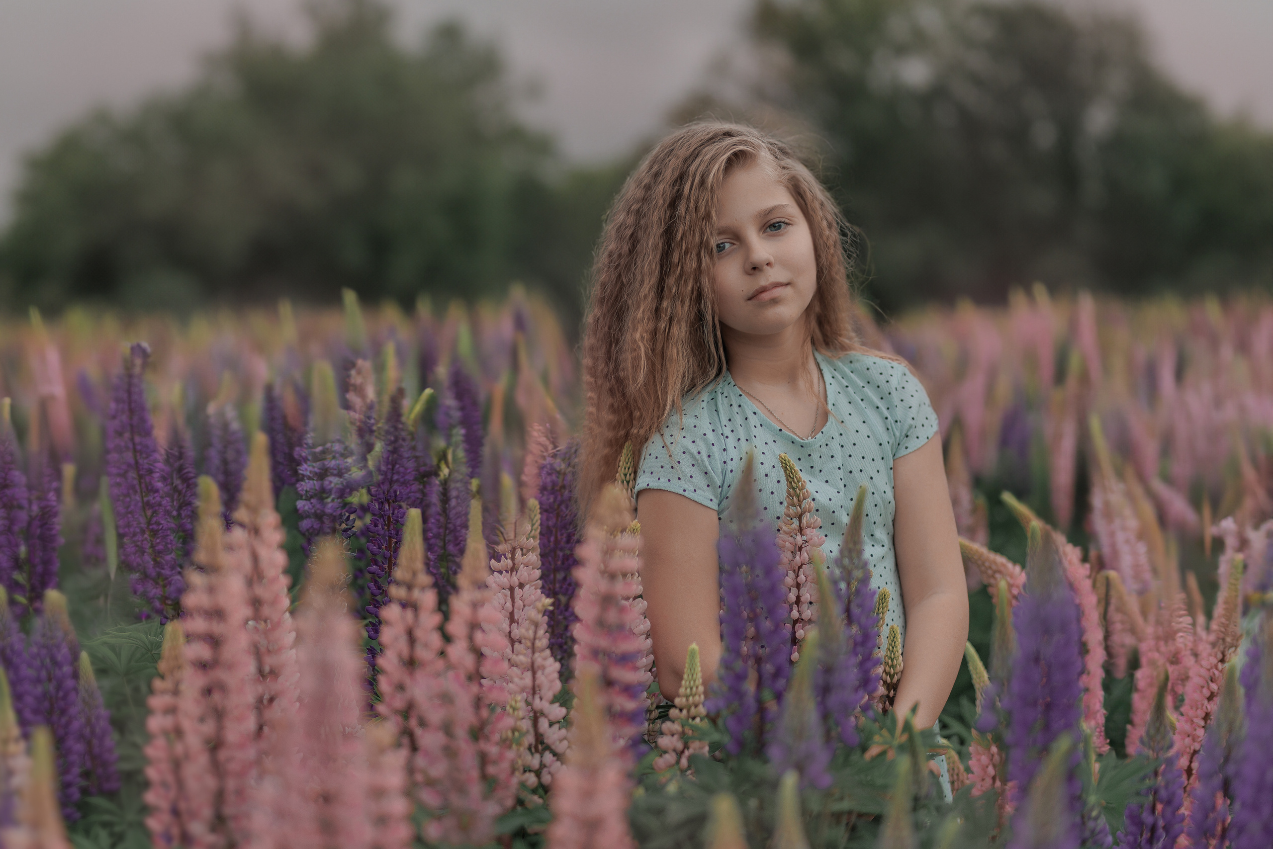 Люпины и дети. Фотограф женского портрета, беременности и материнства Харькова Елена