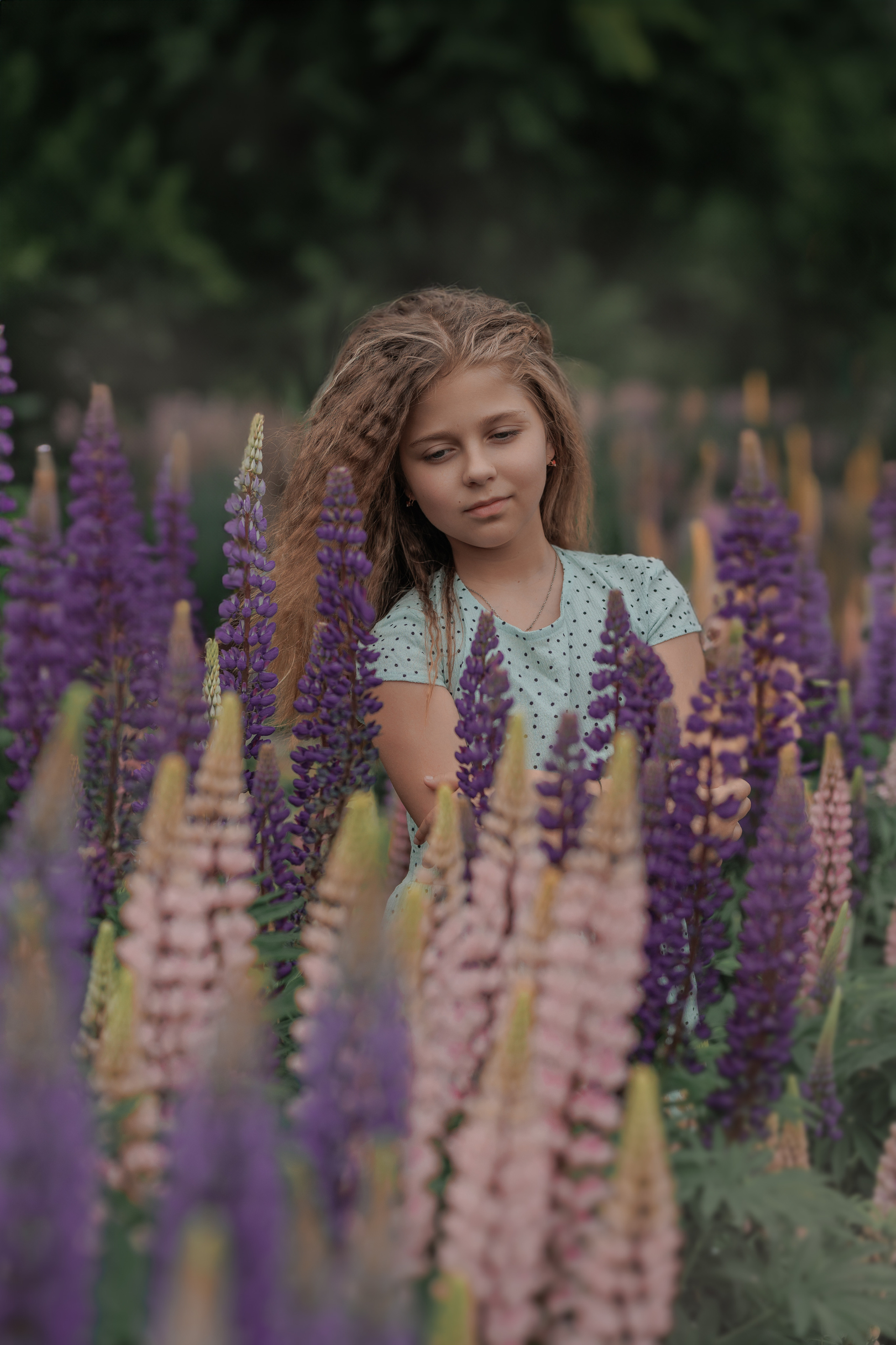 Люпины и дети. Фотограф женского портрета, беременности и материнства Харькова Елена