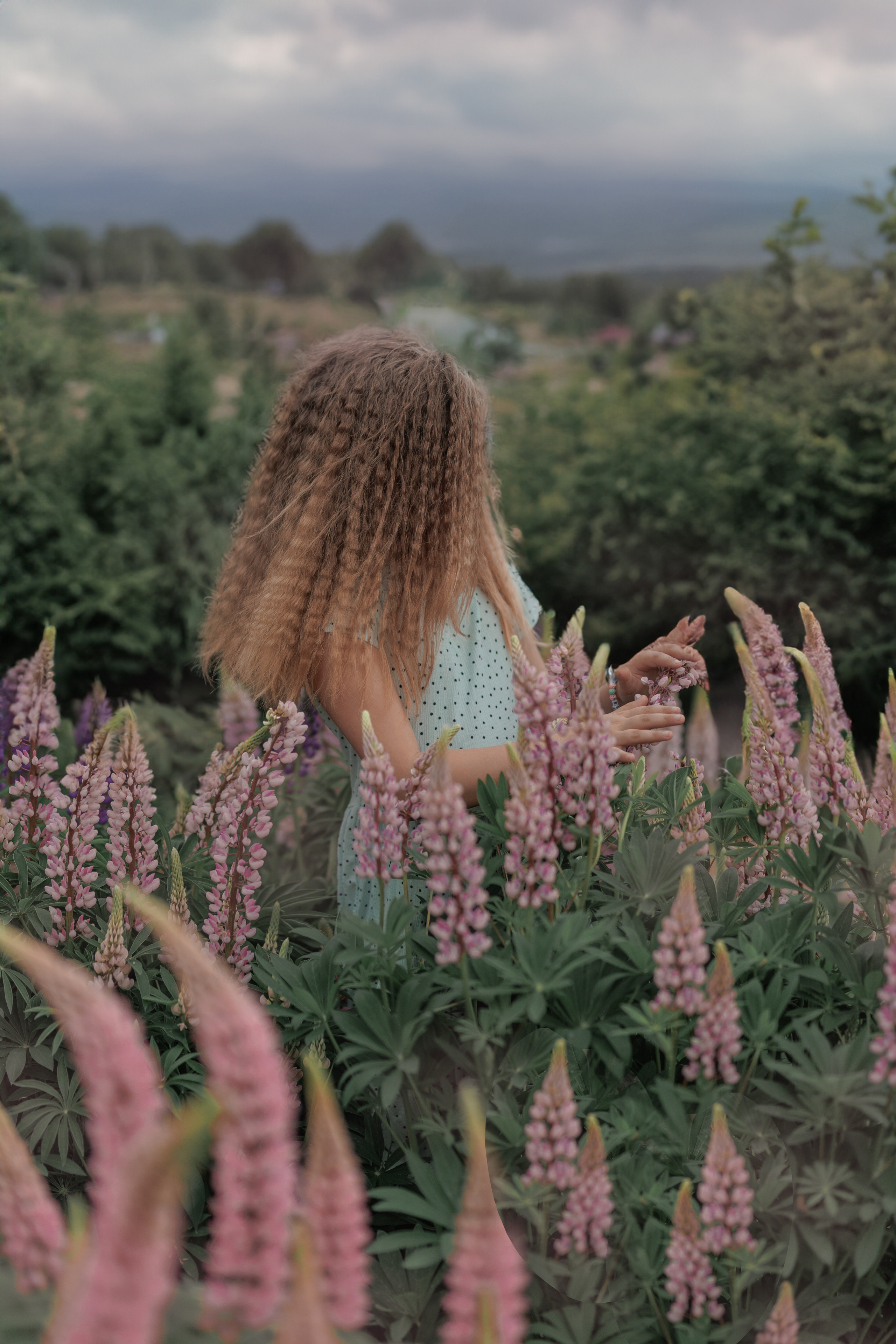 Люпины и дети. Фотограф женского портрета, беременности и материнства Харькова Елена