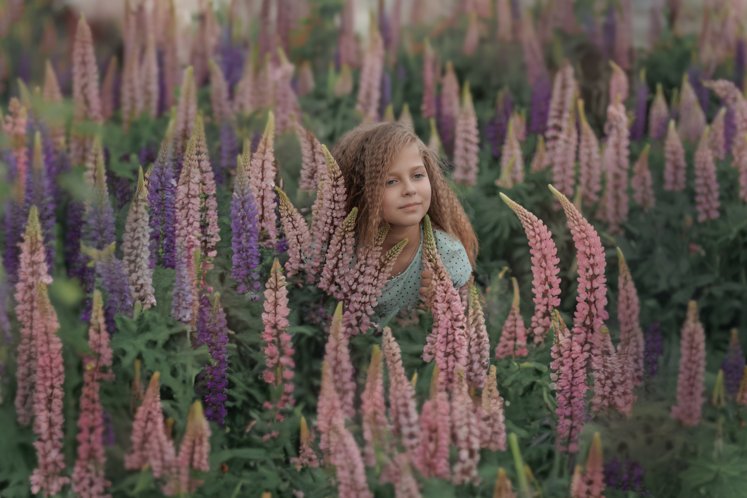 Люпины и дети. Фотограф женского портрета, беременности и материнства Харькова Елена