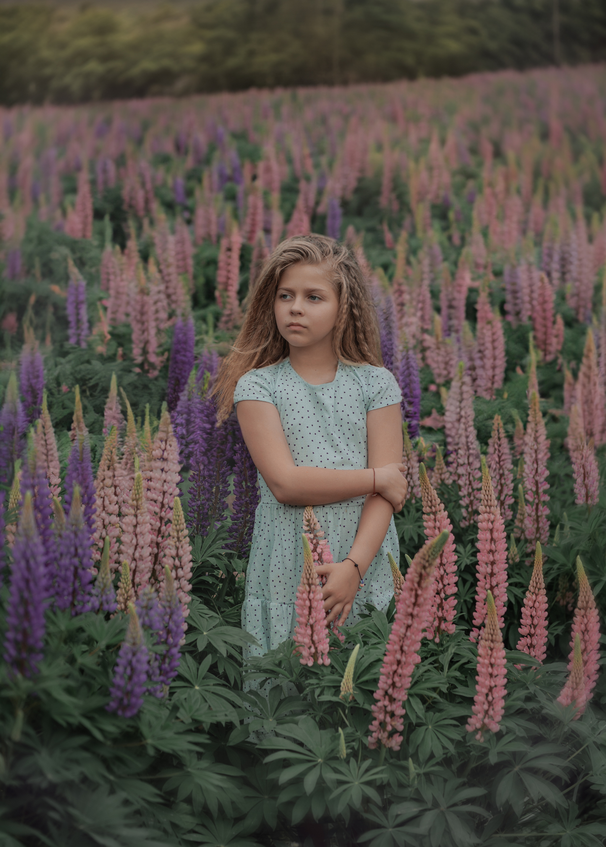 Люпины и дети. Фотограф женского портрета, беременности и материнства Харькова Елена