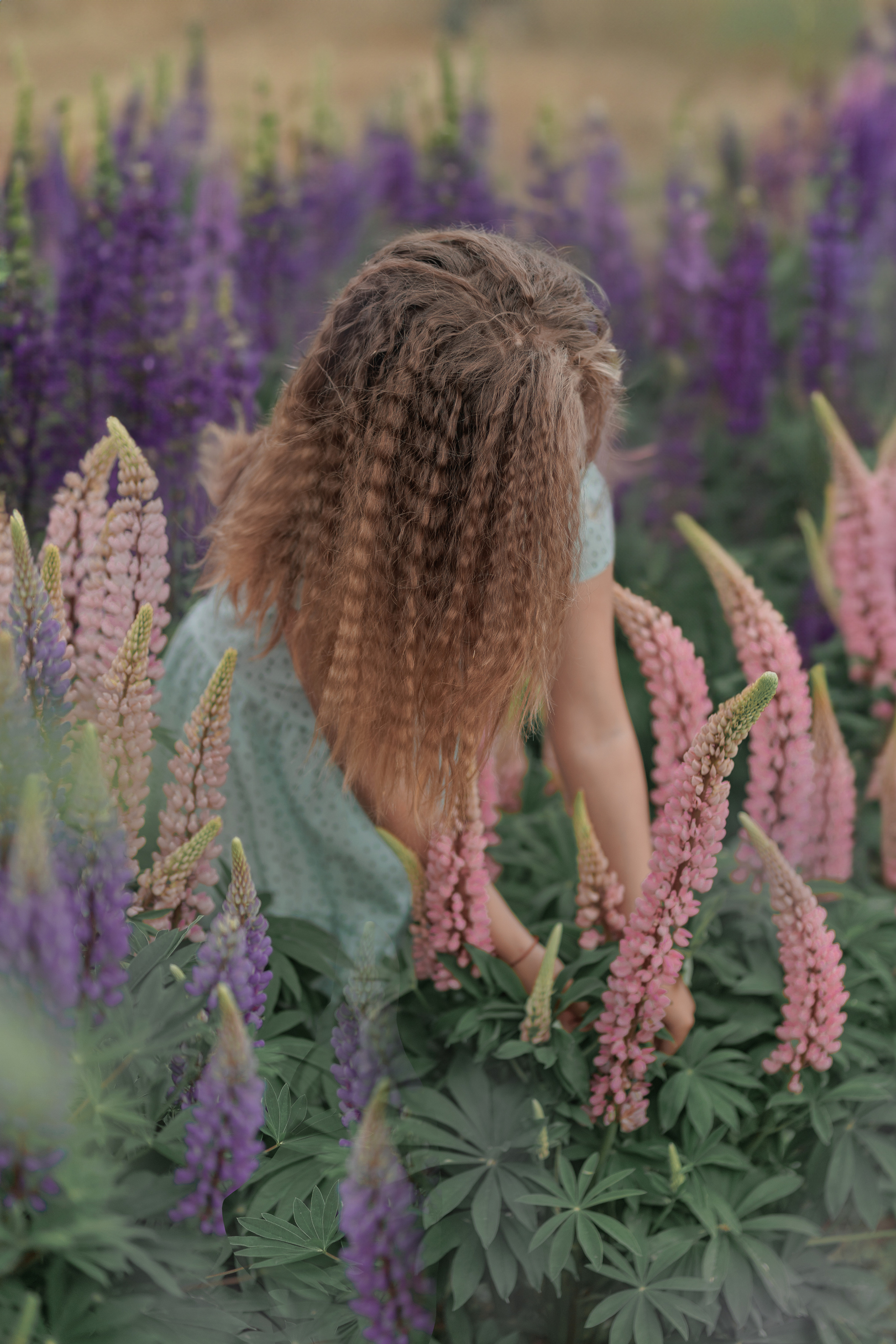 Люпины и дети. Фотограф женского портрета, беременности и материнства Харькова Елена