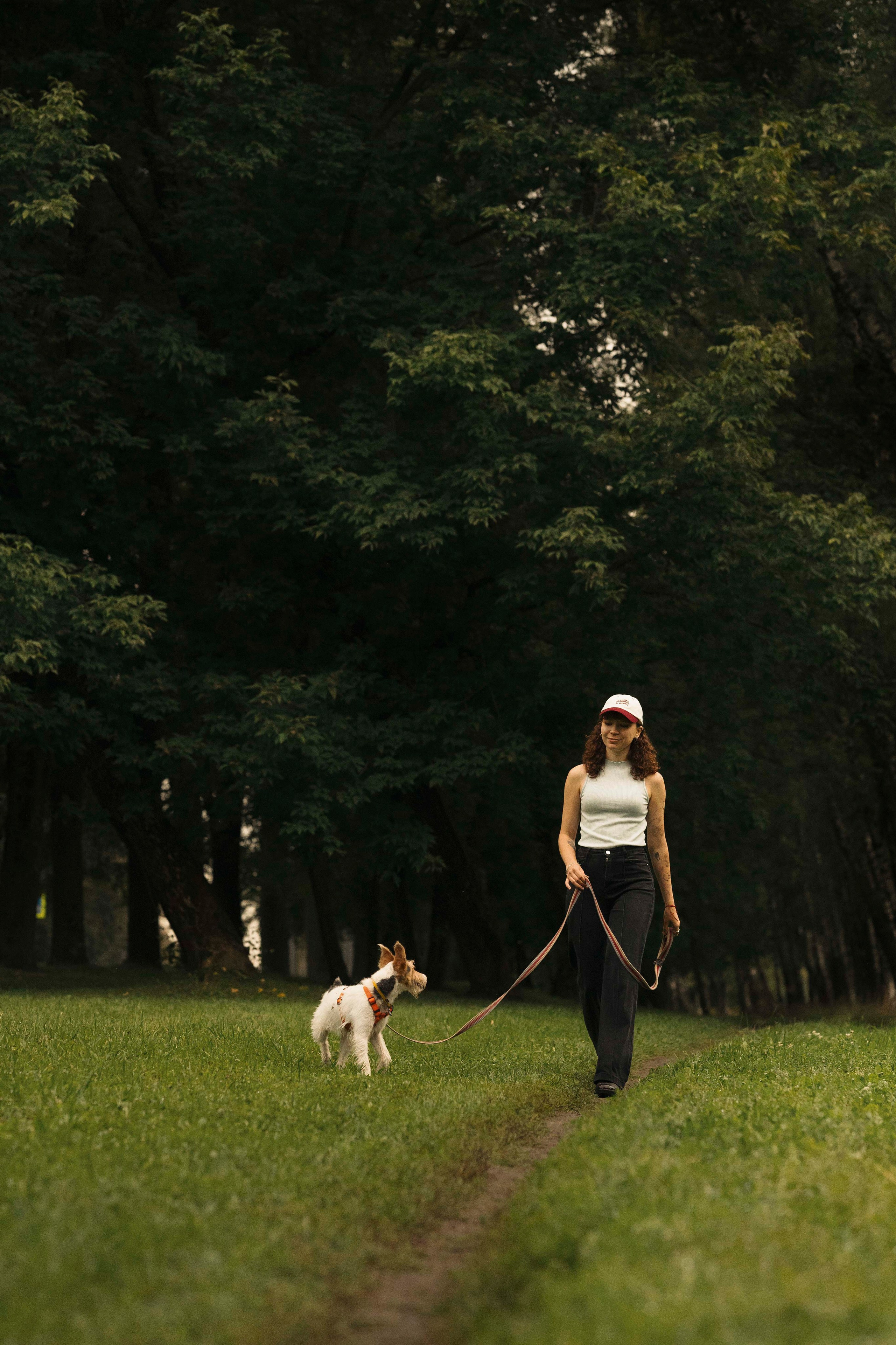 Мартин. Фотограф- анималист Александра Матвеева