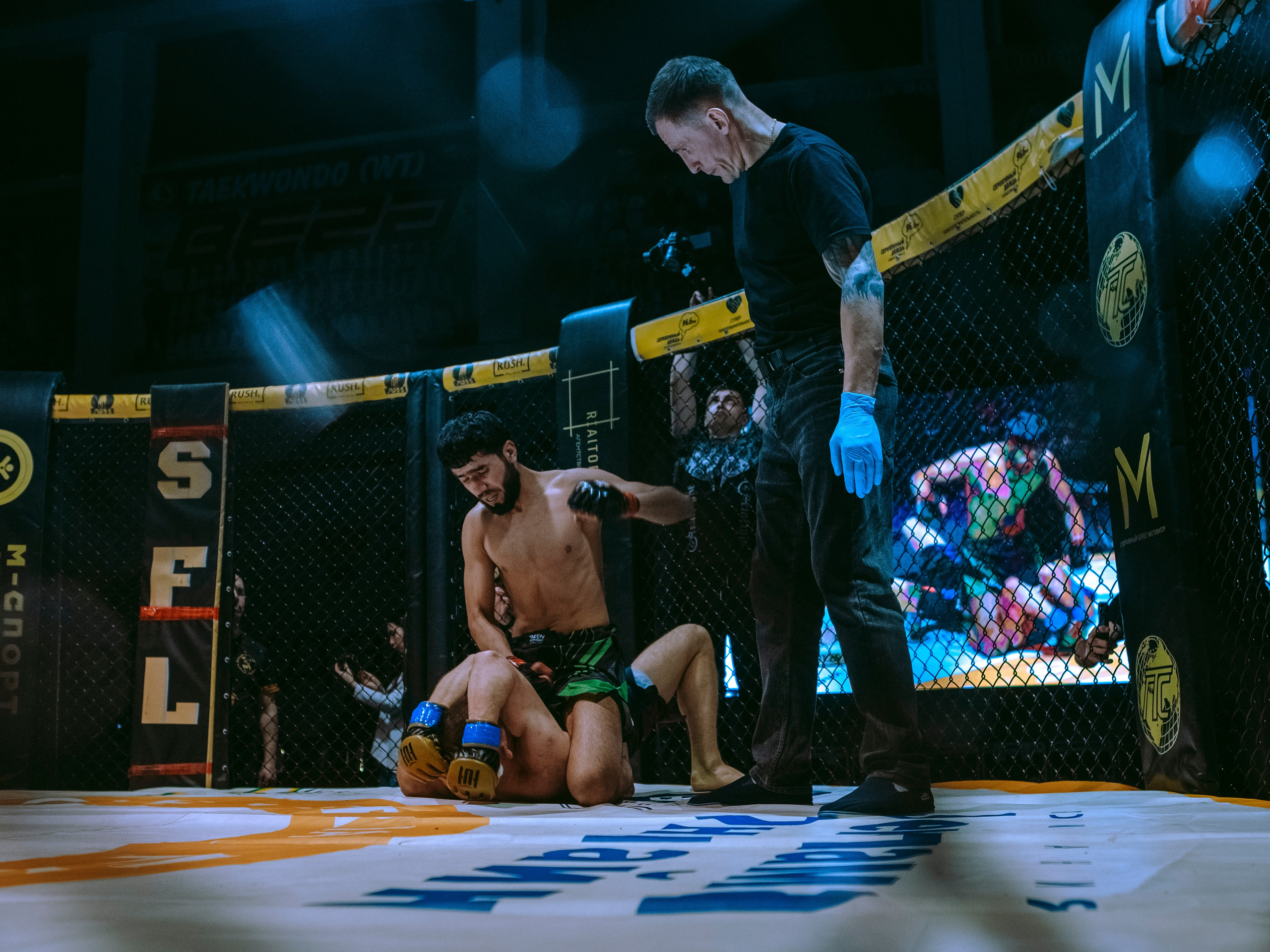 SFL 17 | Siberian Fighting League. Портретный фотограф в Москве Дарья Цезария