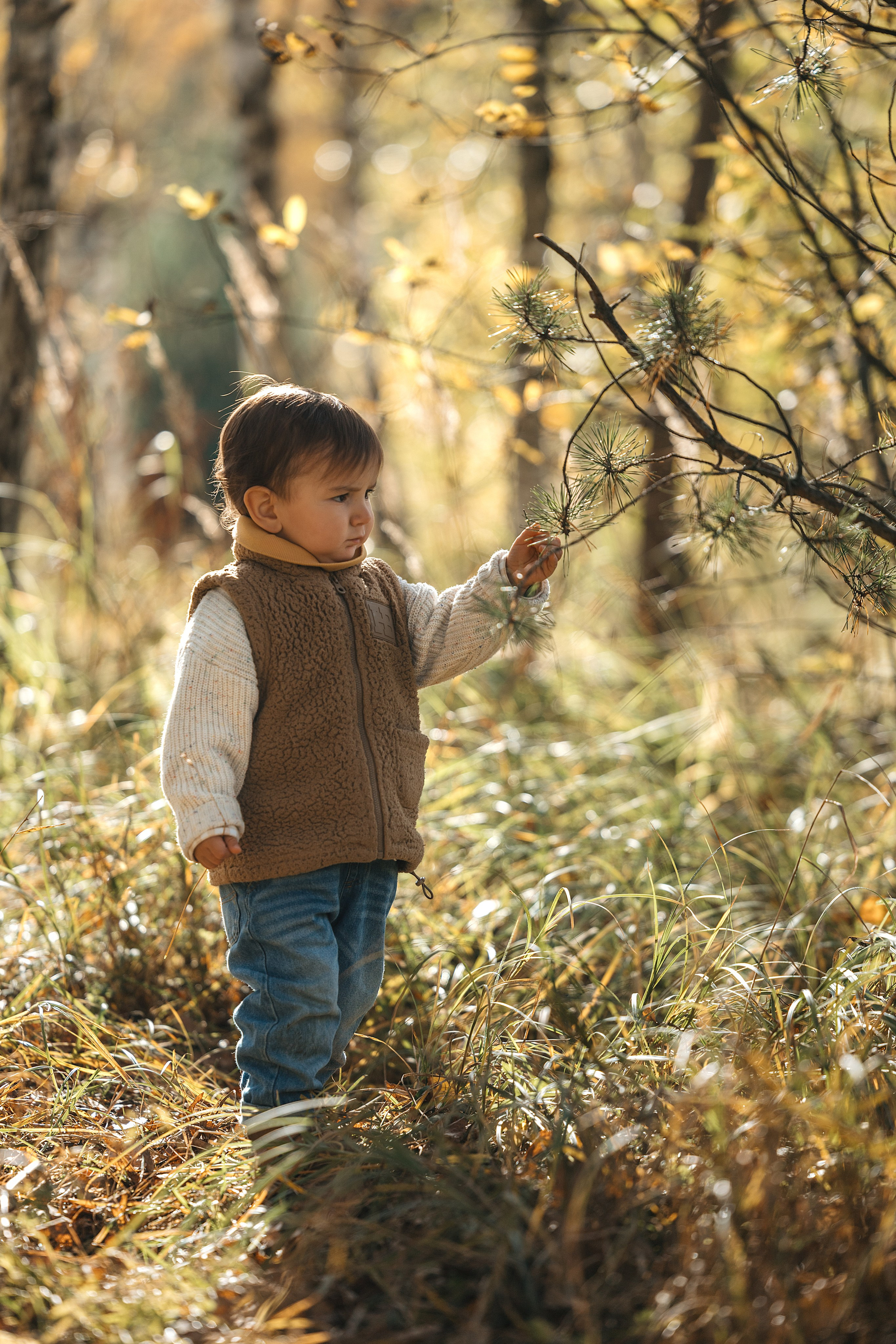 Осенняя семейная съемка. Фотограф Анималист в Москве Анастасия Жучкова