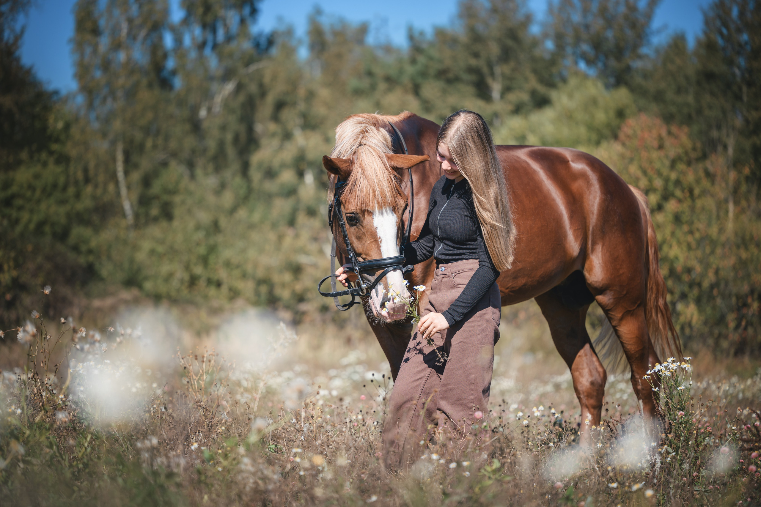 Виктория и Лео. Фотограф Анималист в Москве Анастасия Жучкова