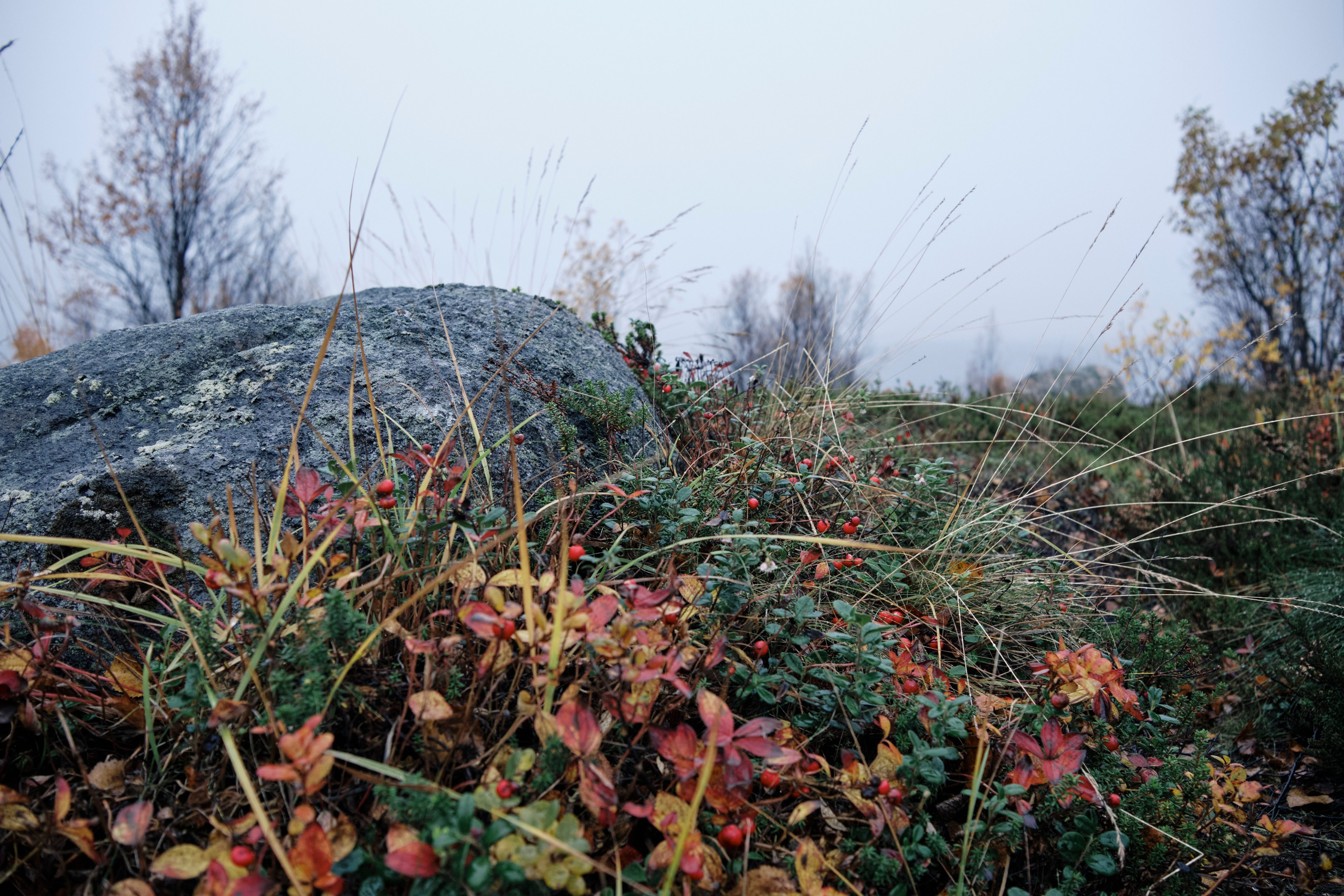Поездка в Мурманск. Заметки и фото. Елена Павленко. Фотограф. Москва
