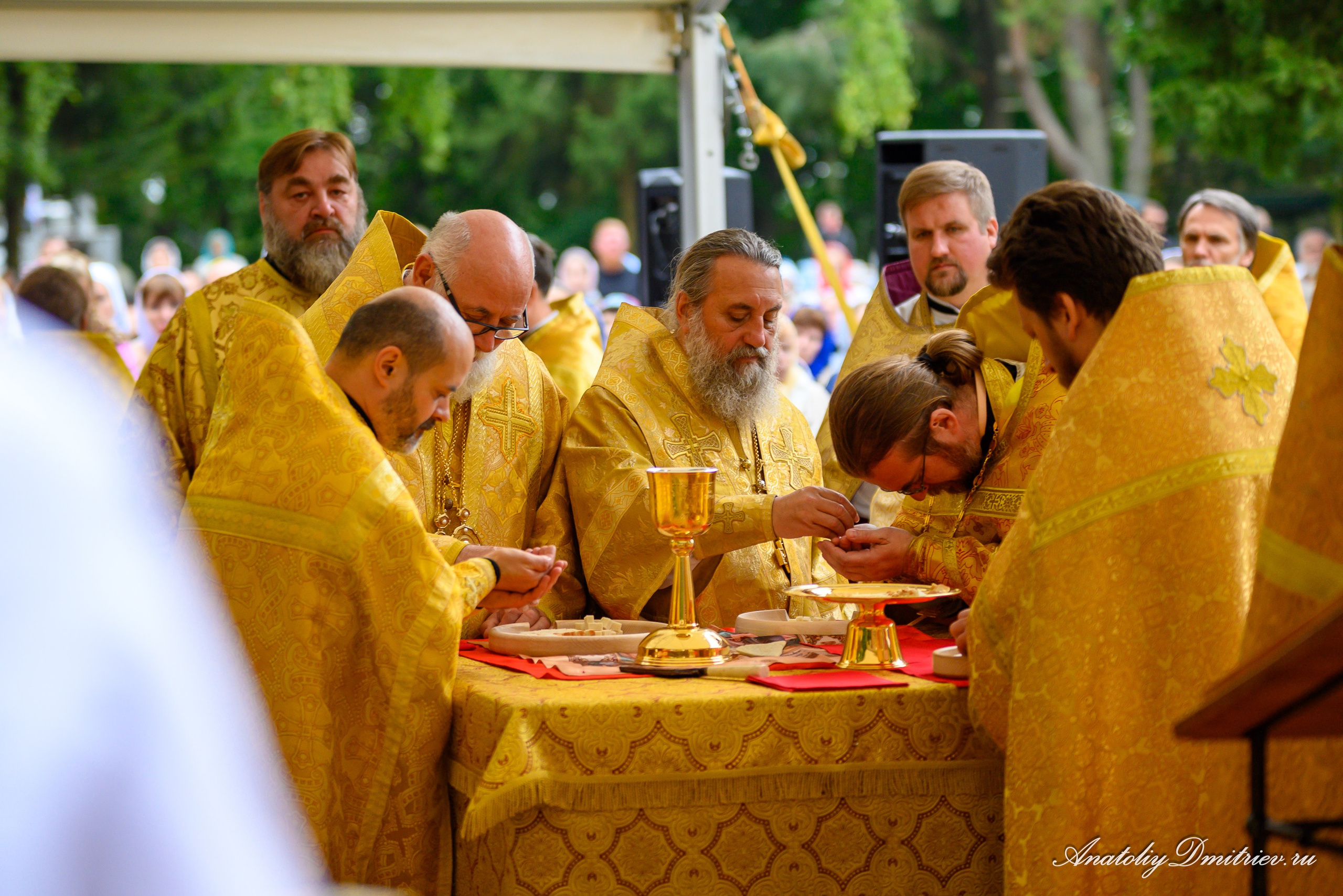Успенский Крестный ход Калининградской митрополии 29 августа 2025 г. Фотограф  Крещения и Венчания Калининград