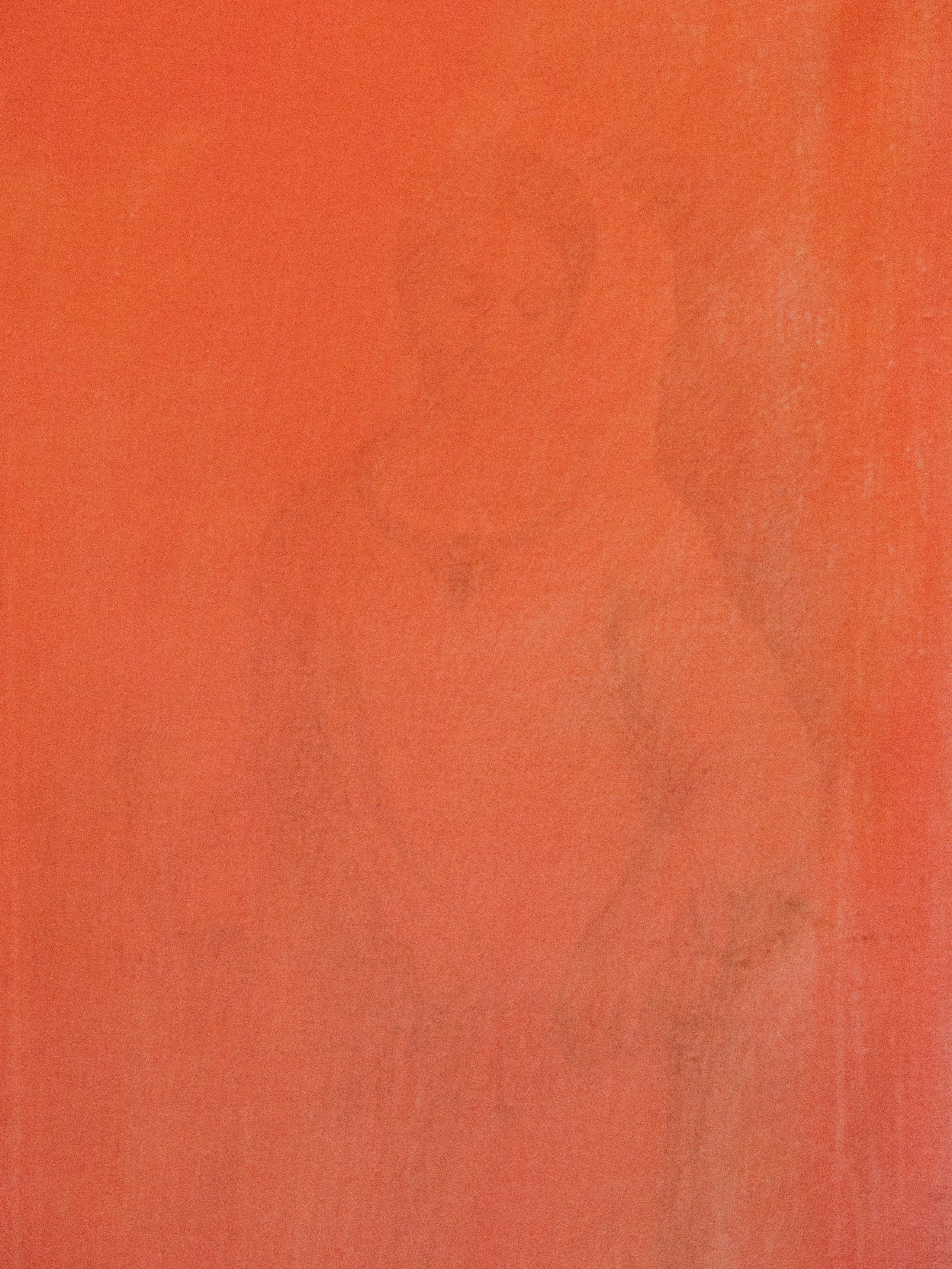 STAY HIDEOUT. Anna Zavediy