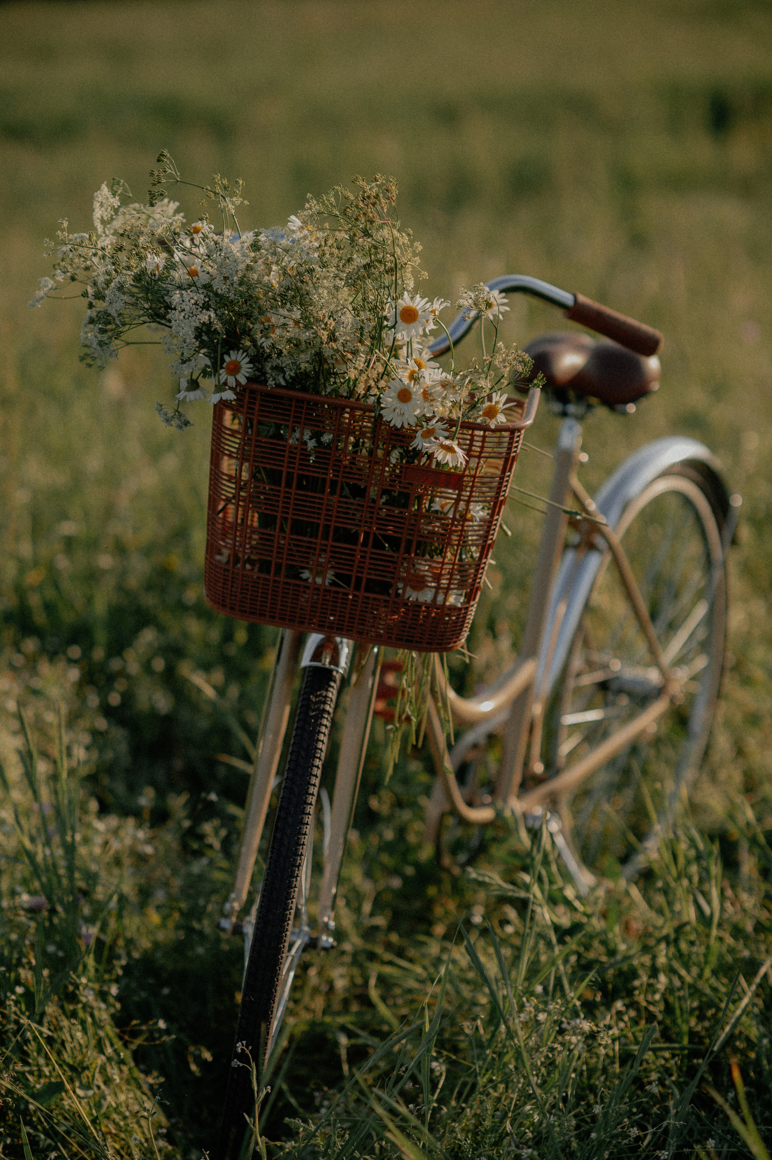 P&L. Свадебный фотограф МОСКВА, КРЫМ, СМОЛЕНСК АЛЯ КОНОВАЛОВА