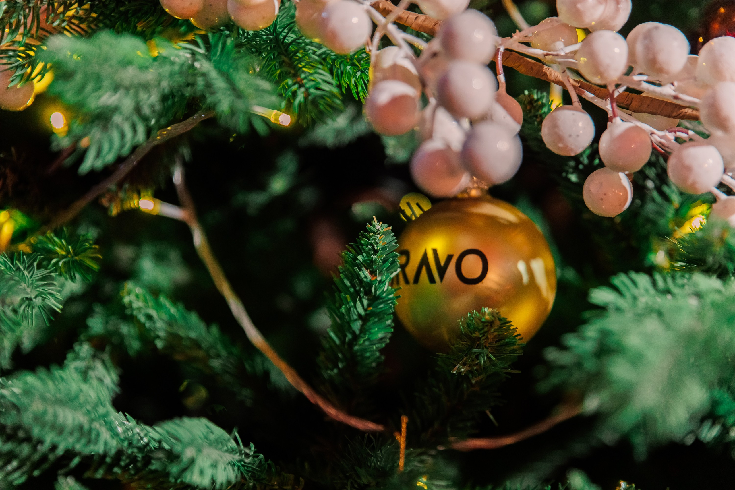 BRAVO CARNAVAL. Андрей Черёмушкин | Репортажный Фотограф в Хабаровске