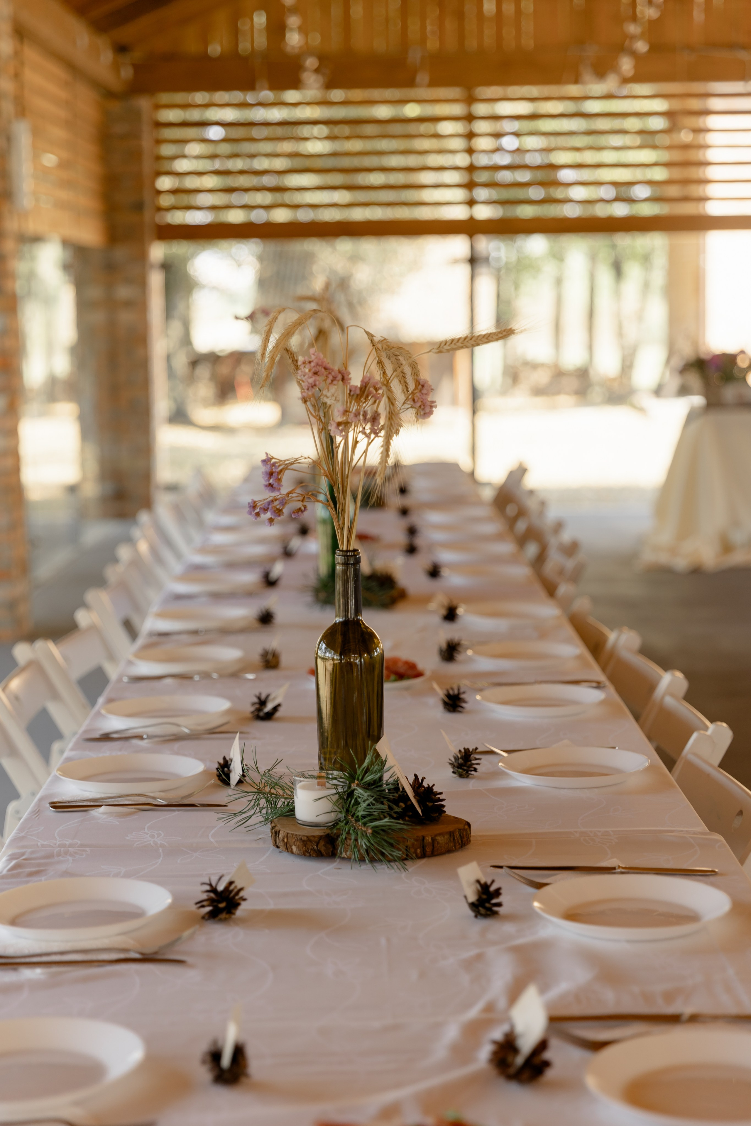 Виноградники. Dima Lemeshevsky