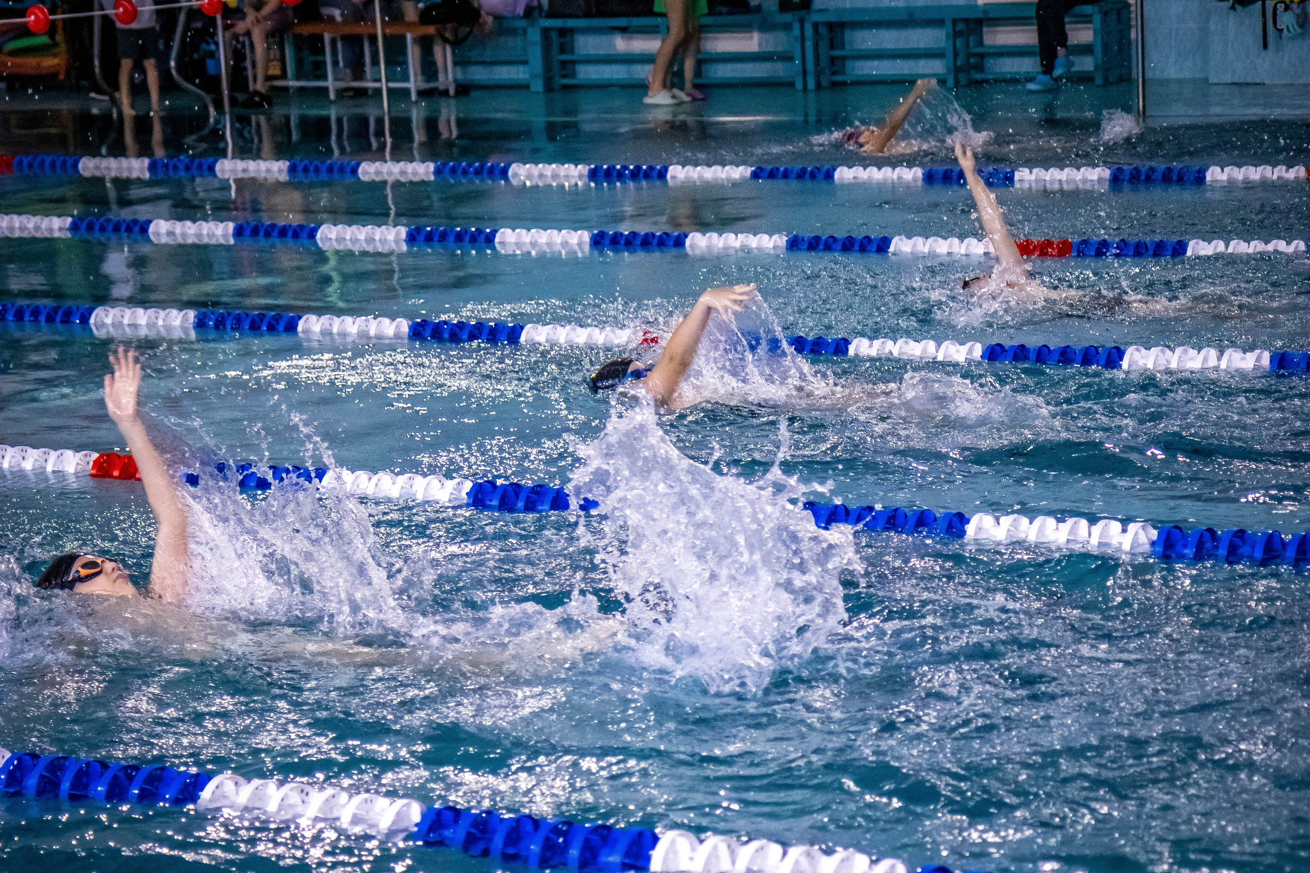 Фотосессия соревнований по плаванию в Пушкино Московской области